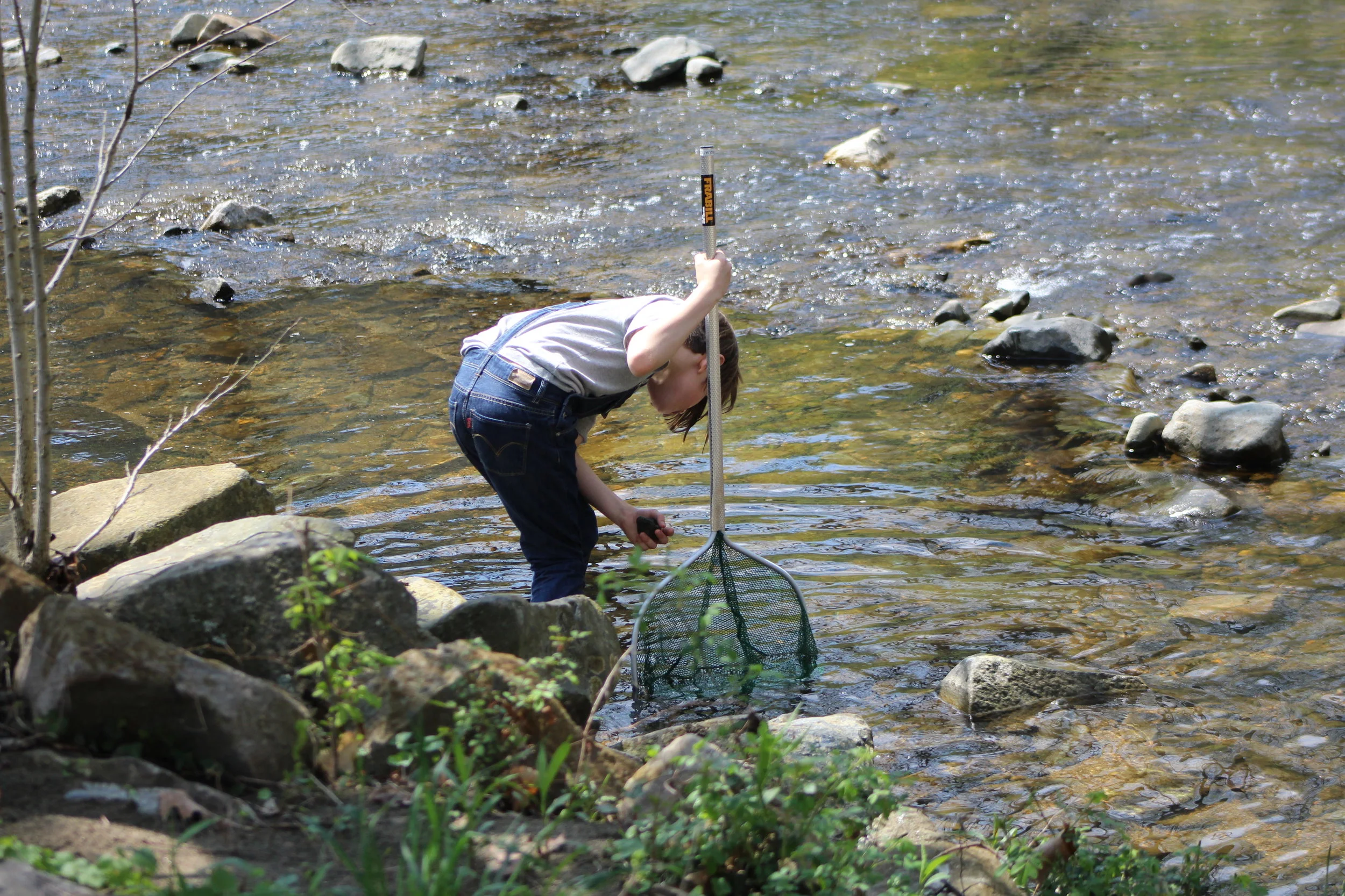 Leakin Park BioBlitz