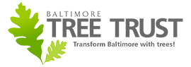 BaltimoreTreeTrust.png