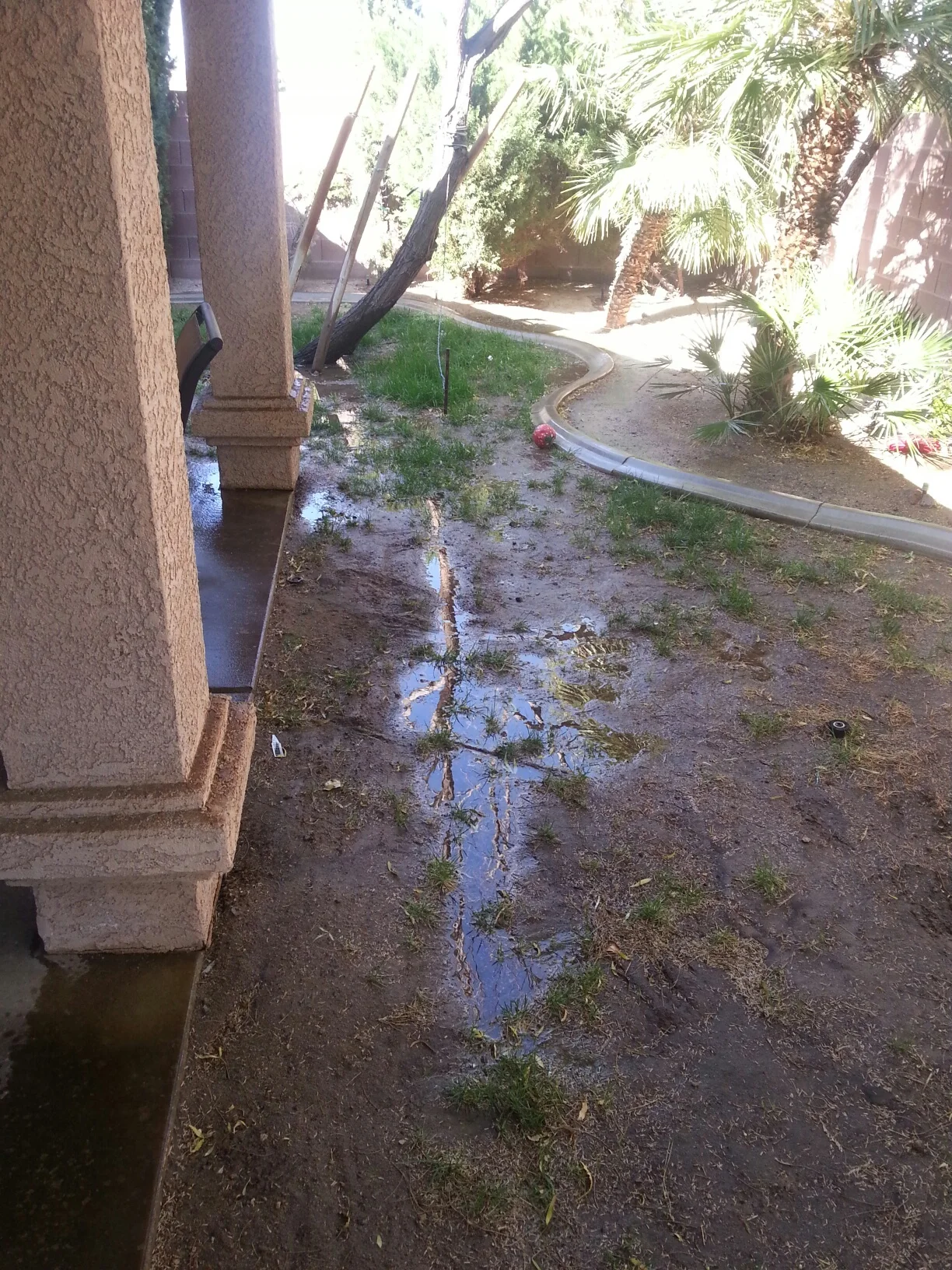 20130321_151424_resized.jpg