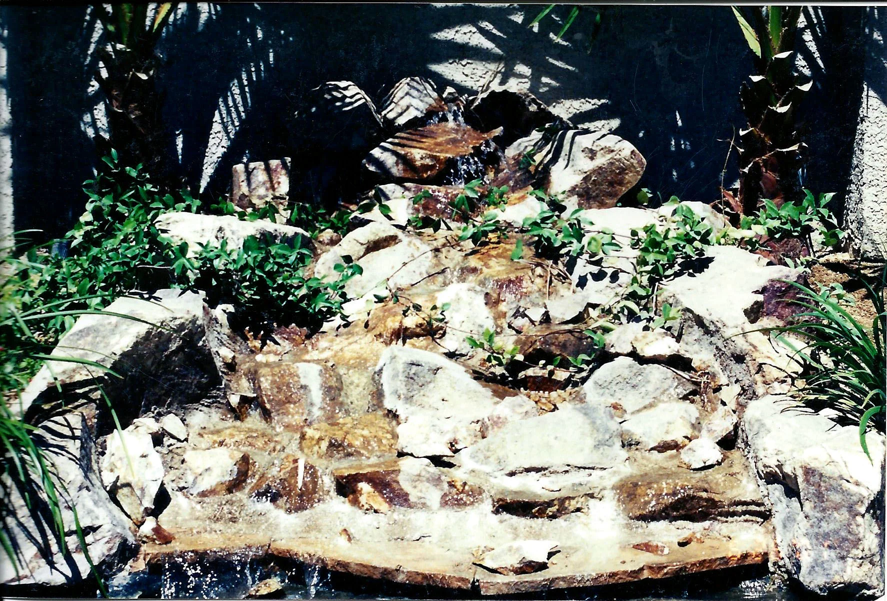 Photo 9_Edited.jpg