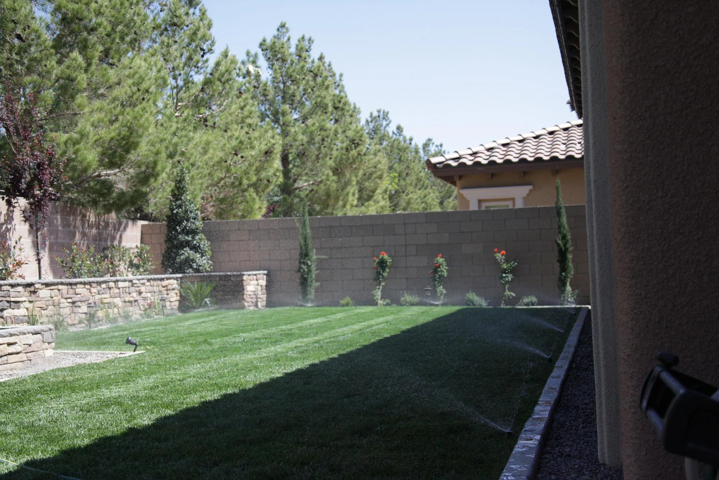 IMG_6505 Copy.jpg