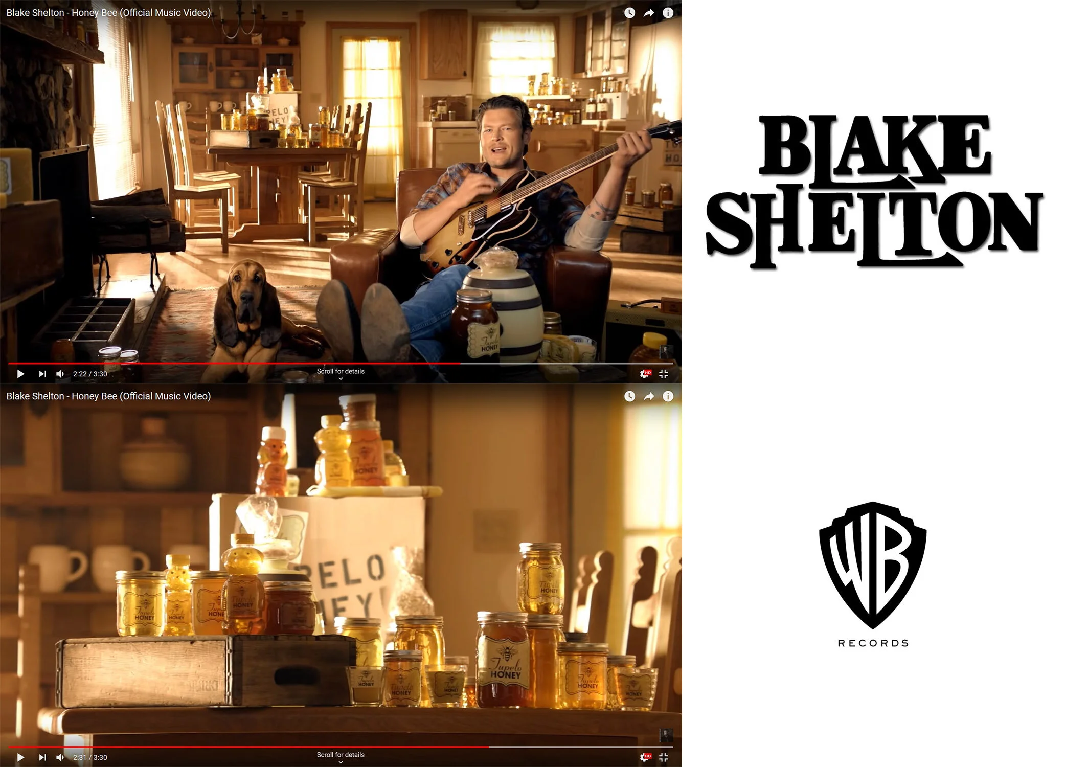 Blake-Shelton-HoneyBee_WarnerBrothers.jpg