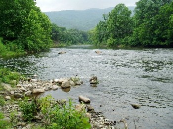 Jackson River