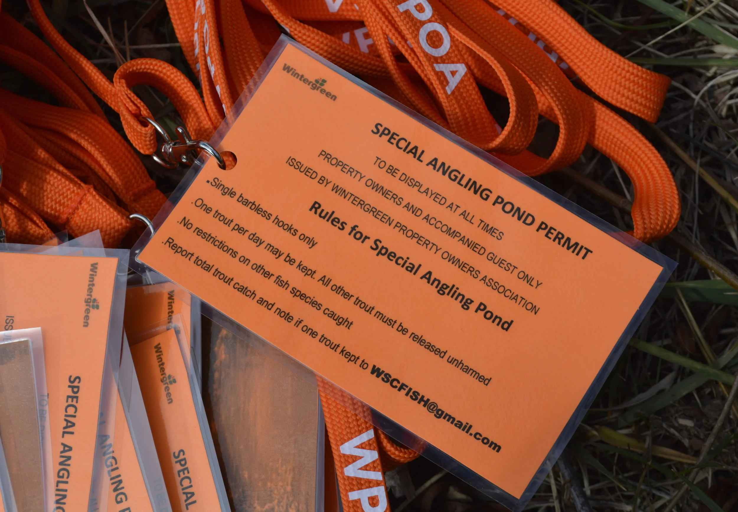 Rainbow Trout Stocking in Stoney Creek: WPOA-Issued Permits Needed 