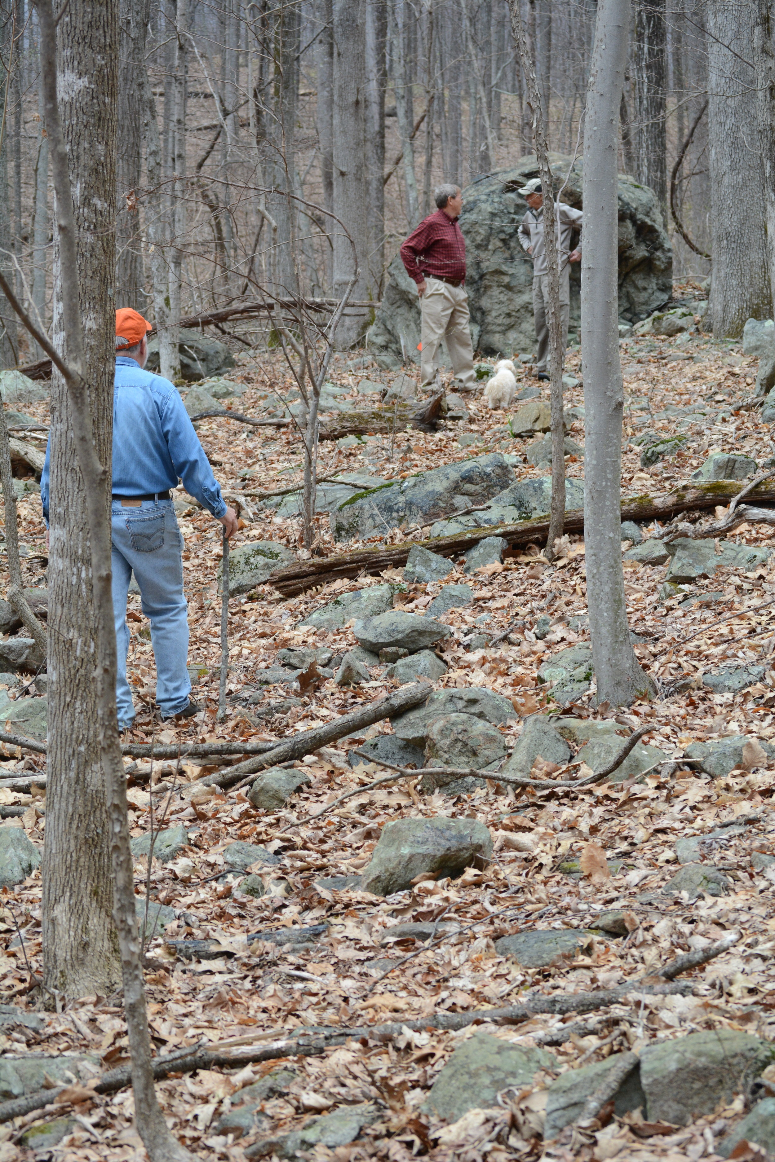 In early spring the field Archery course will be easier to establish. The WSC's goal is to clear the path to make it very easy to walk. (Pictured: Karl Hess (red shirt) talking with Jerry RenDich in late March 2016 as Mike capps surveys what needs to be done to get started.)