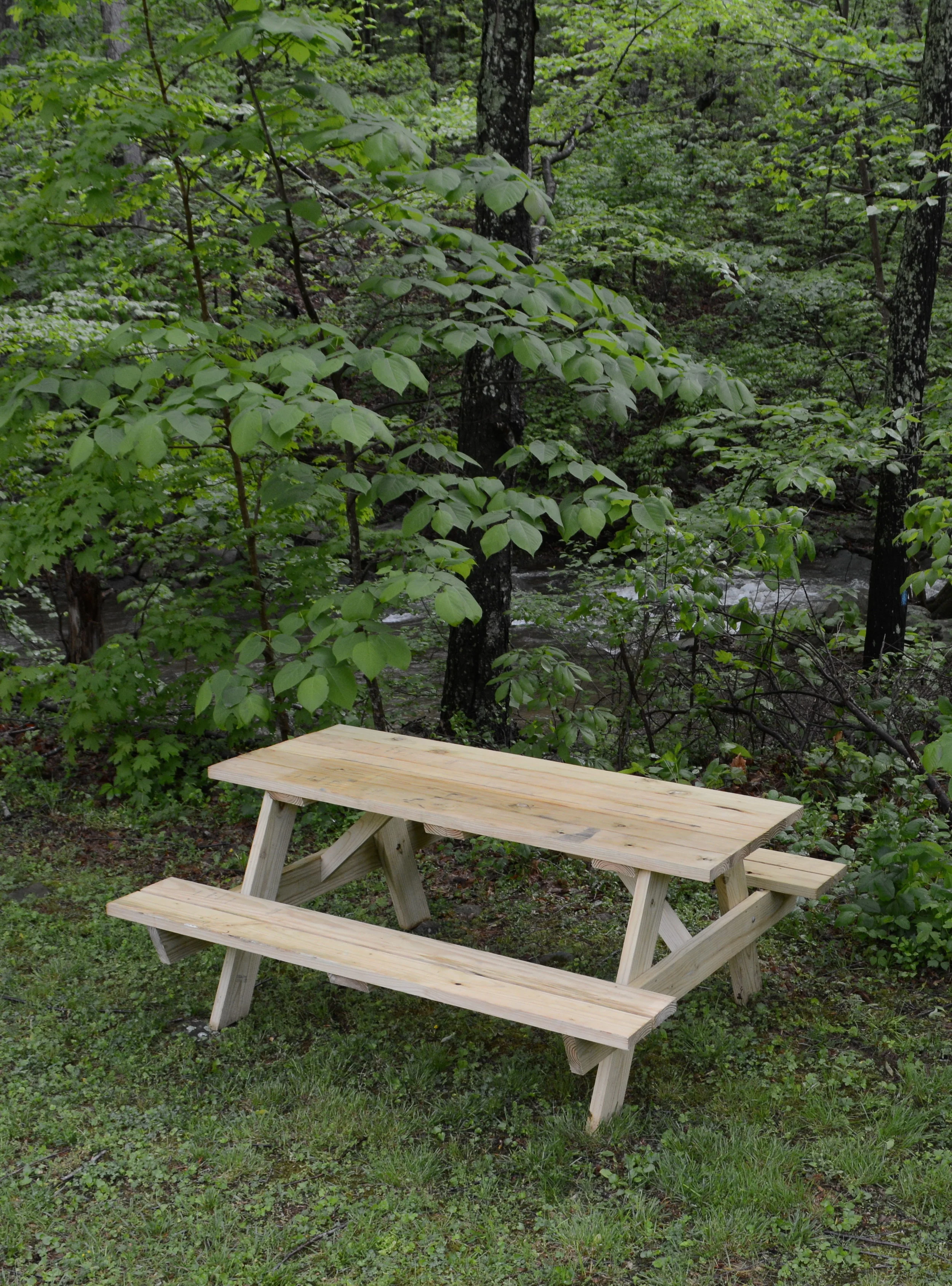 picnic table wsc.jpg