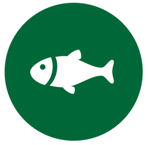  Excellent Bass Fishing on Our Stoney Creek Ponds