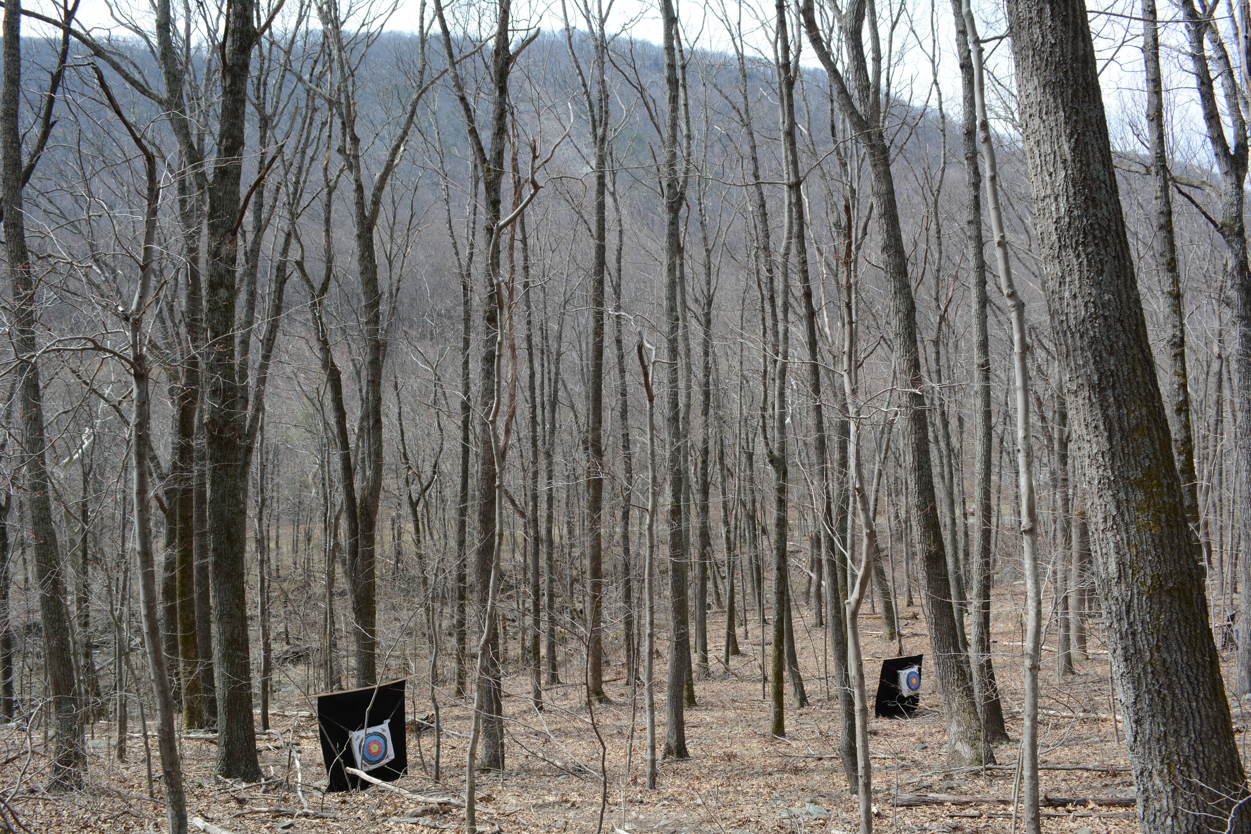 field archery targets-woods-mountains 032517.JPG