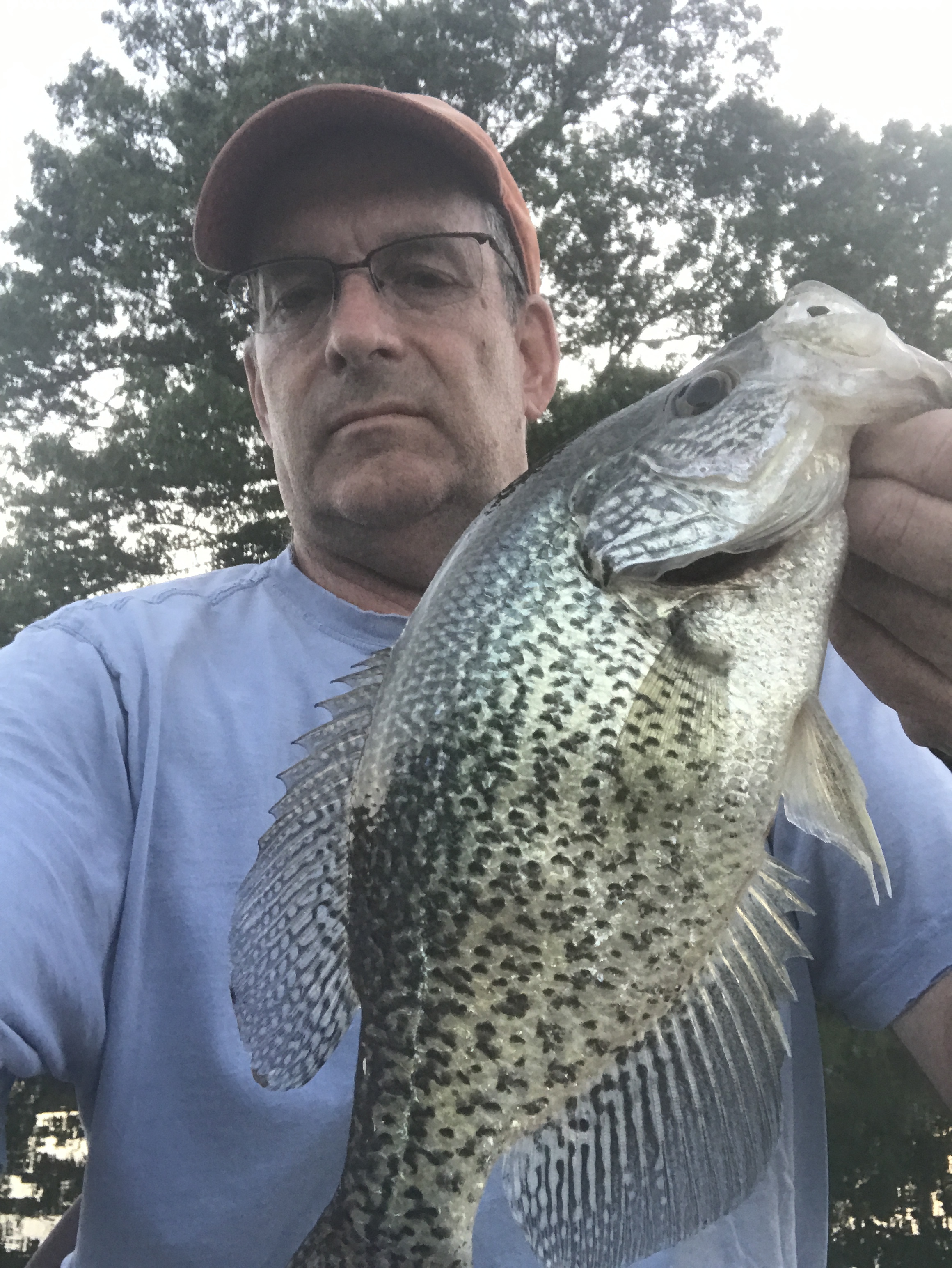 Big Crappie caught at WTG