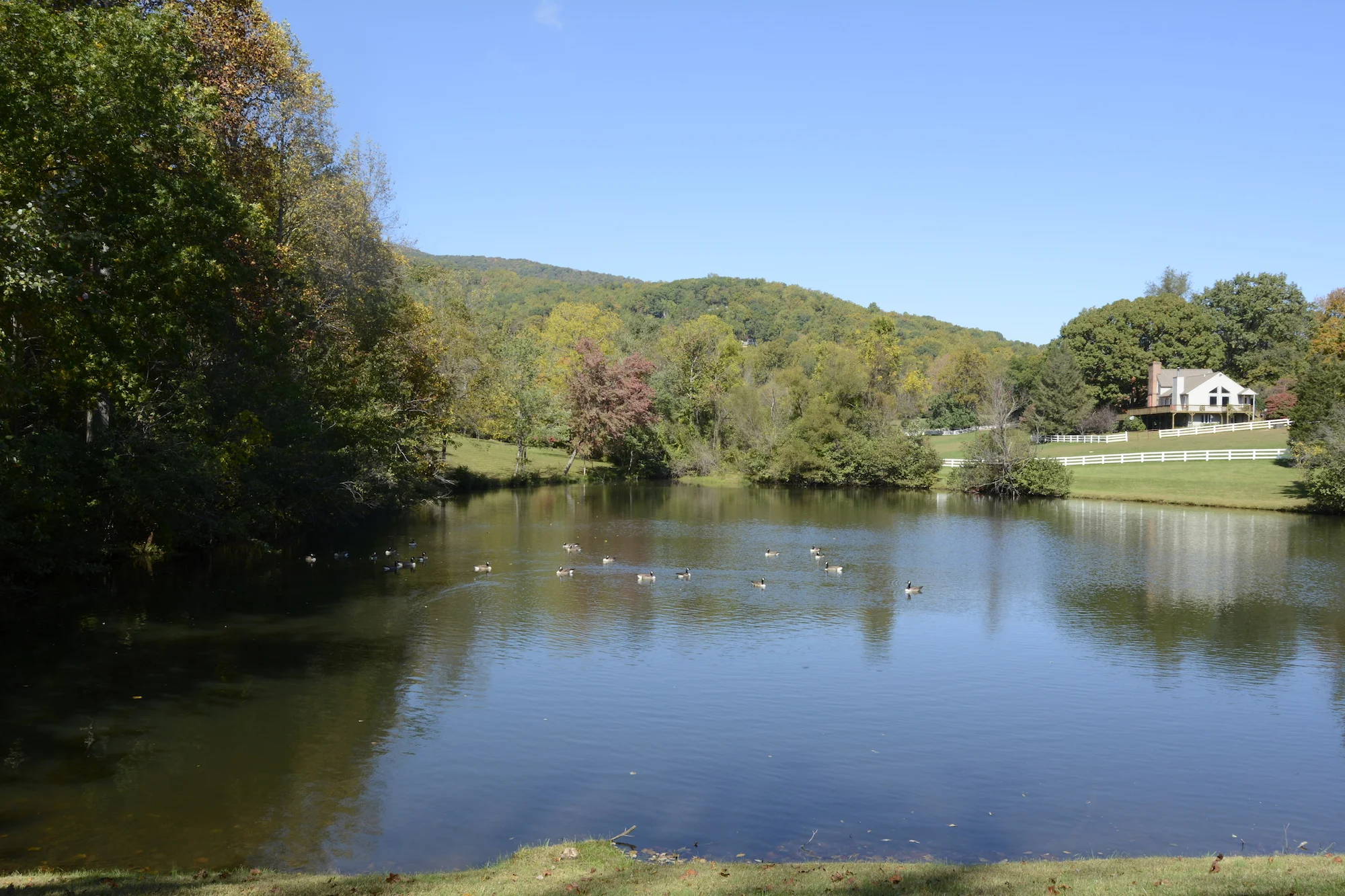 White Fence Lake.JPG
