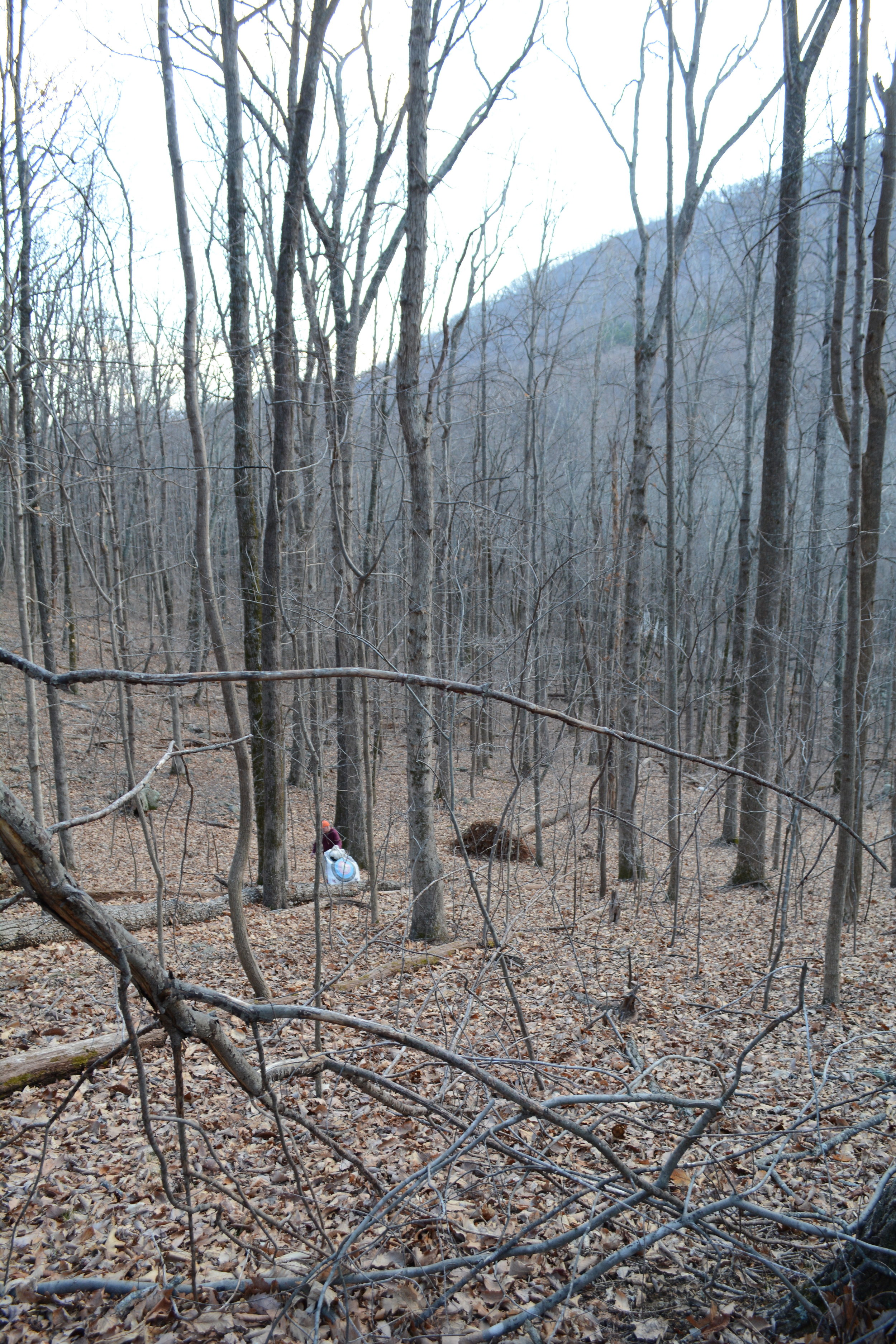 David Proctor volunteered to hike 200 yards down the mountain.