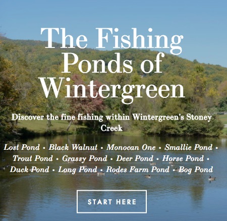 About Fishing — Wintergreen Sporting Club