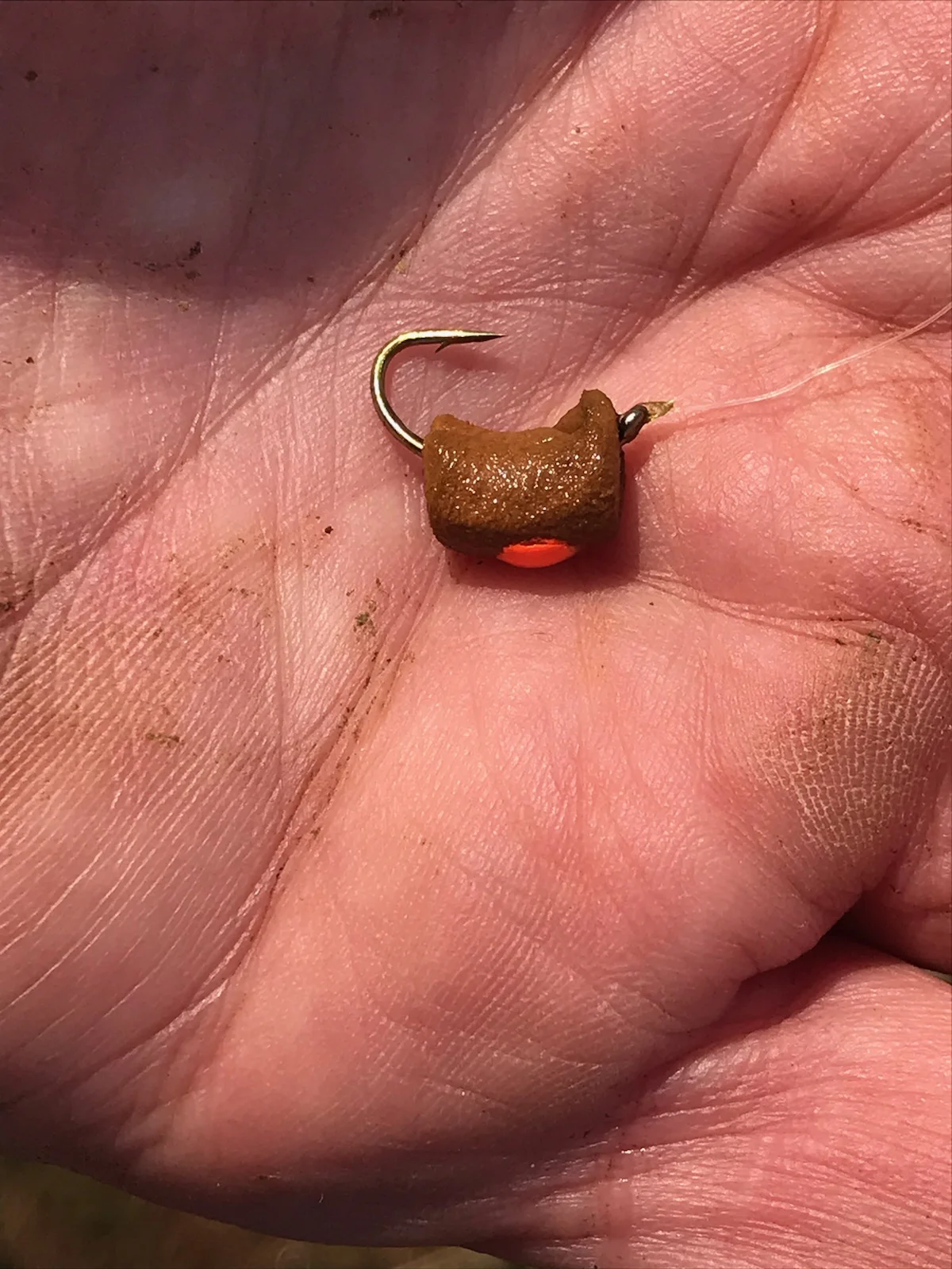 Pellet fly that caught the carp.