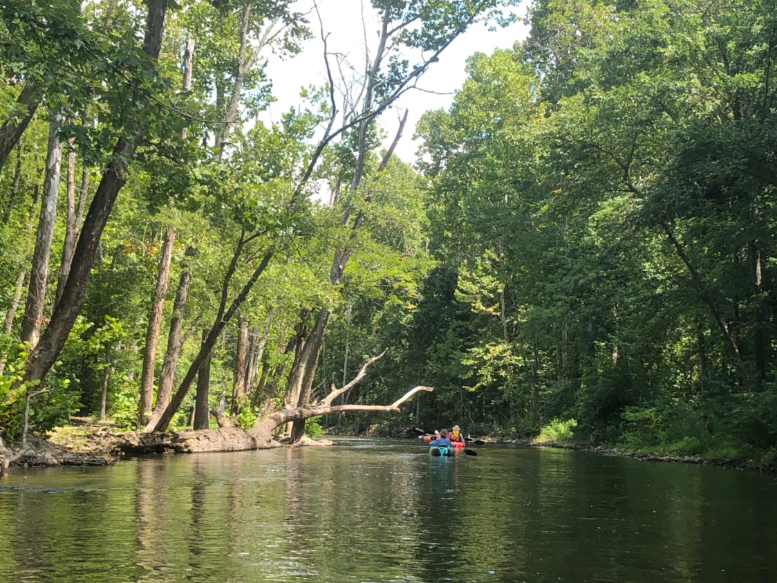 side creek 2a.jpg