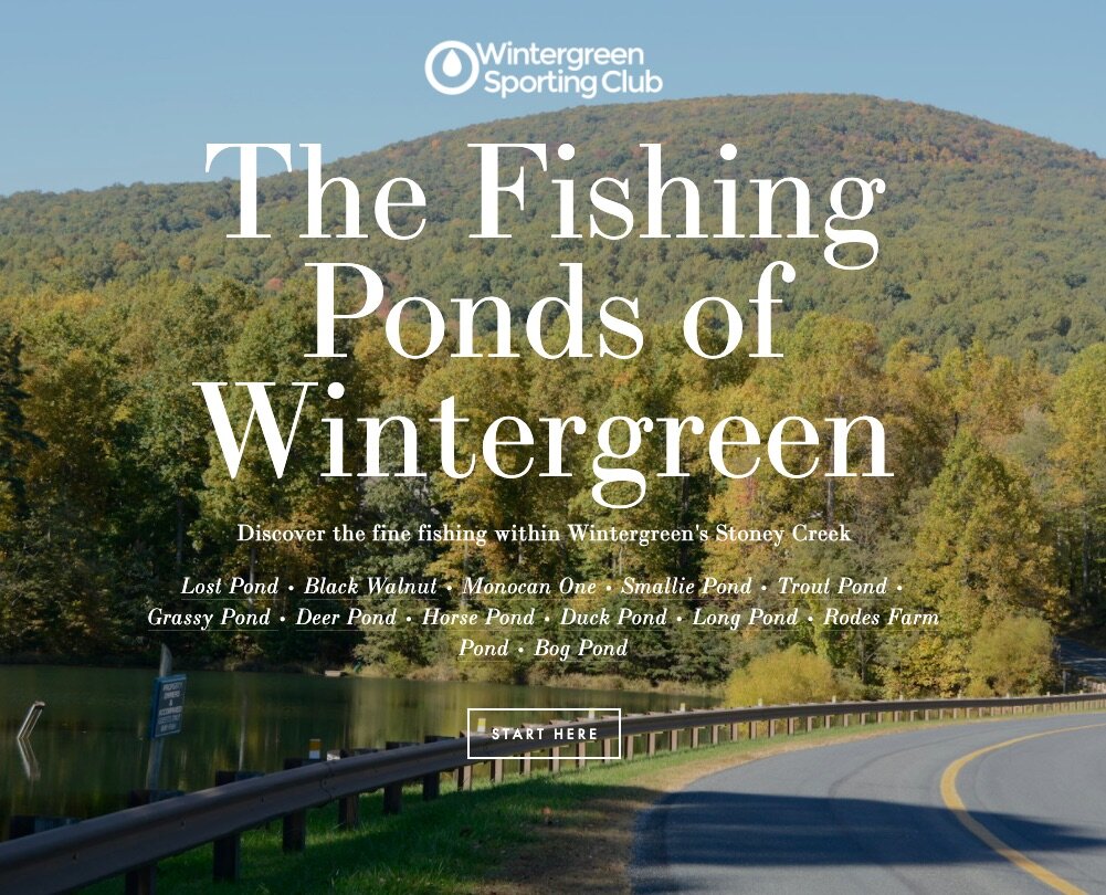 The_Fishing_Ponds_of_Wintergreen_—_Wintergreen_Sporting_Club.jpg