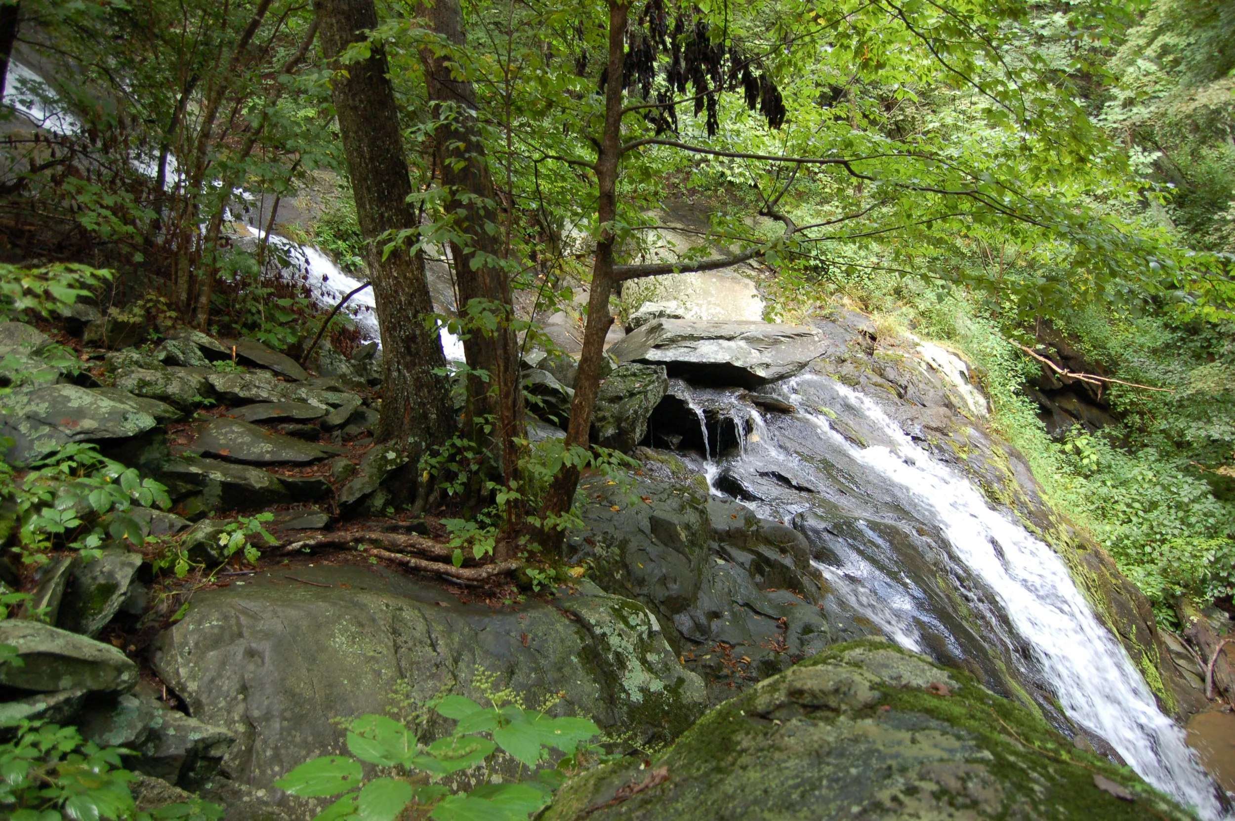 waterfall shamoken.JPG