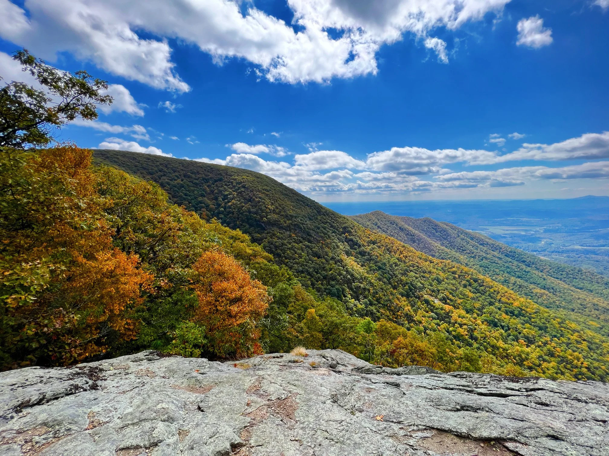 Hike: Three Ridges to Hanging Rock - Friday, October 18th: Hike is full