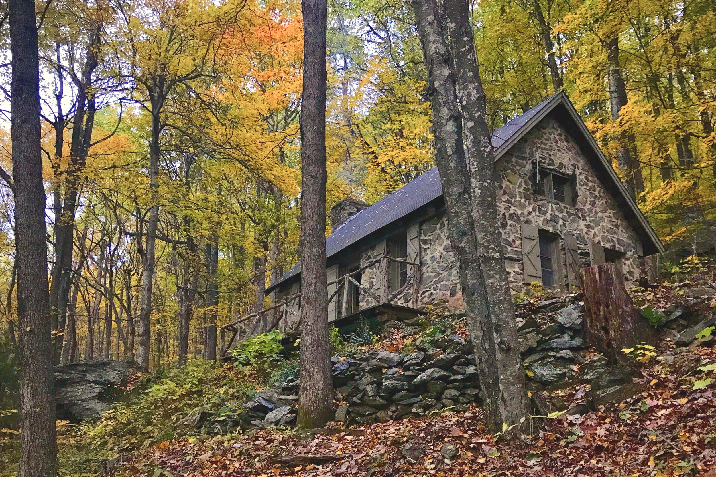 Hike: Join us for lunch at the Tidewater Appalachian Trail Club Cabin and Optional Hike to Sherando Lake - Thursday Nov 7th