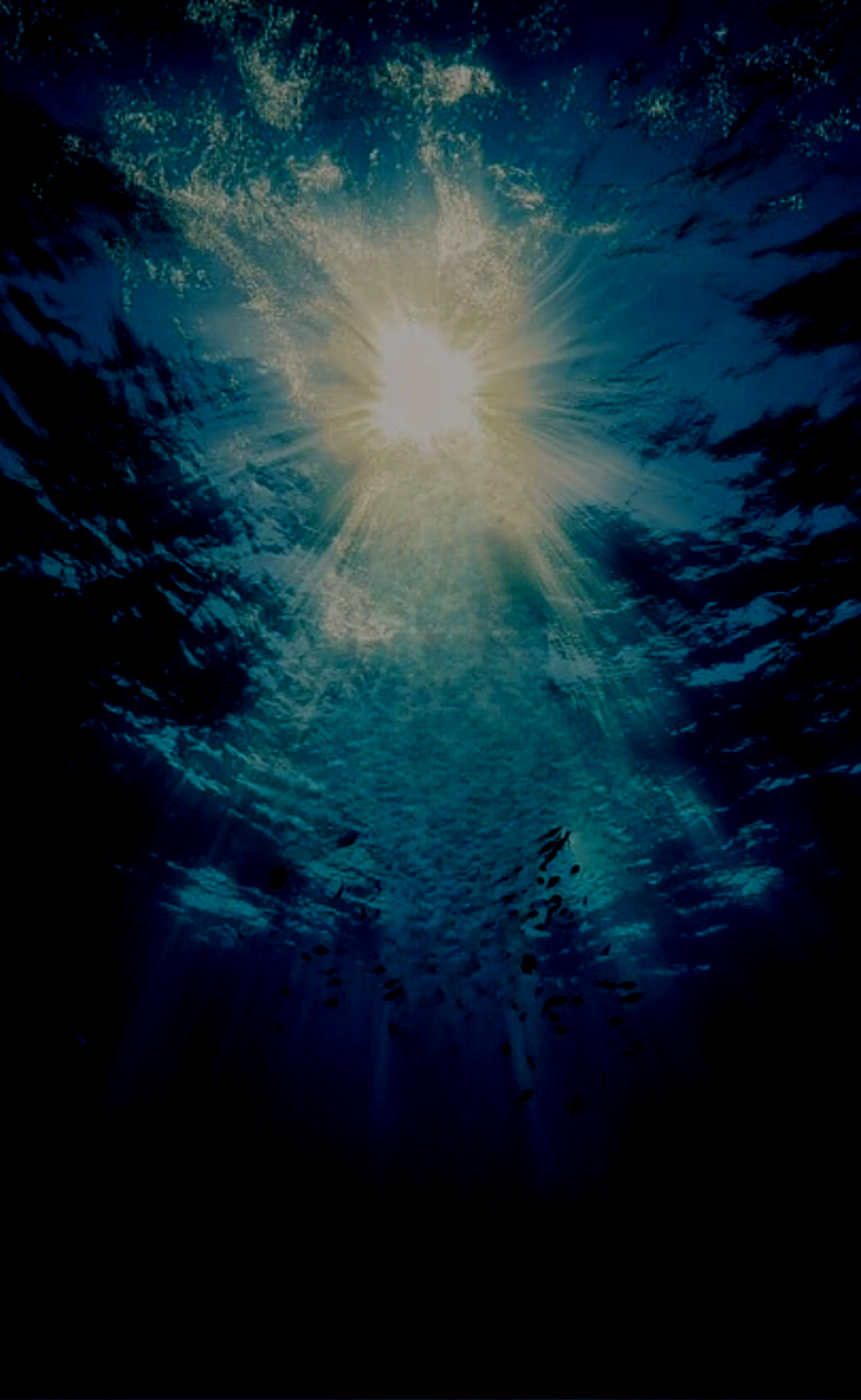 IMG_1305.png