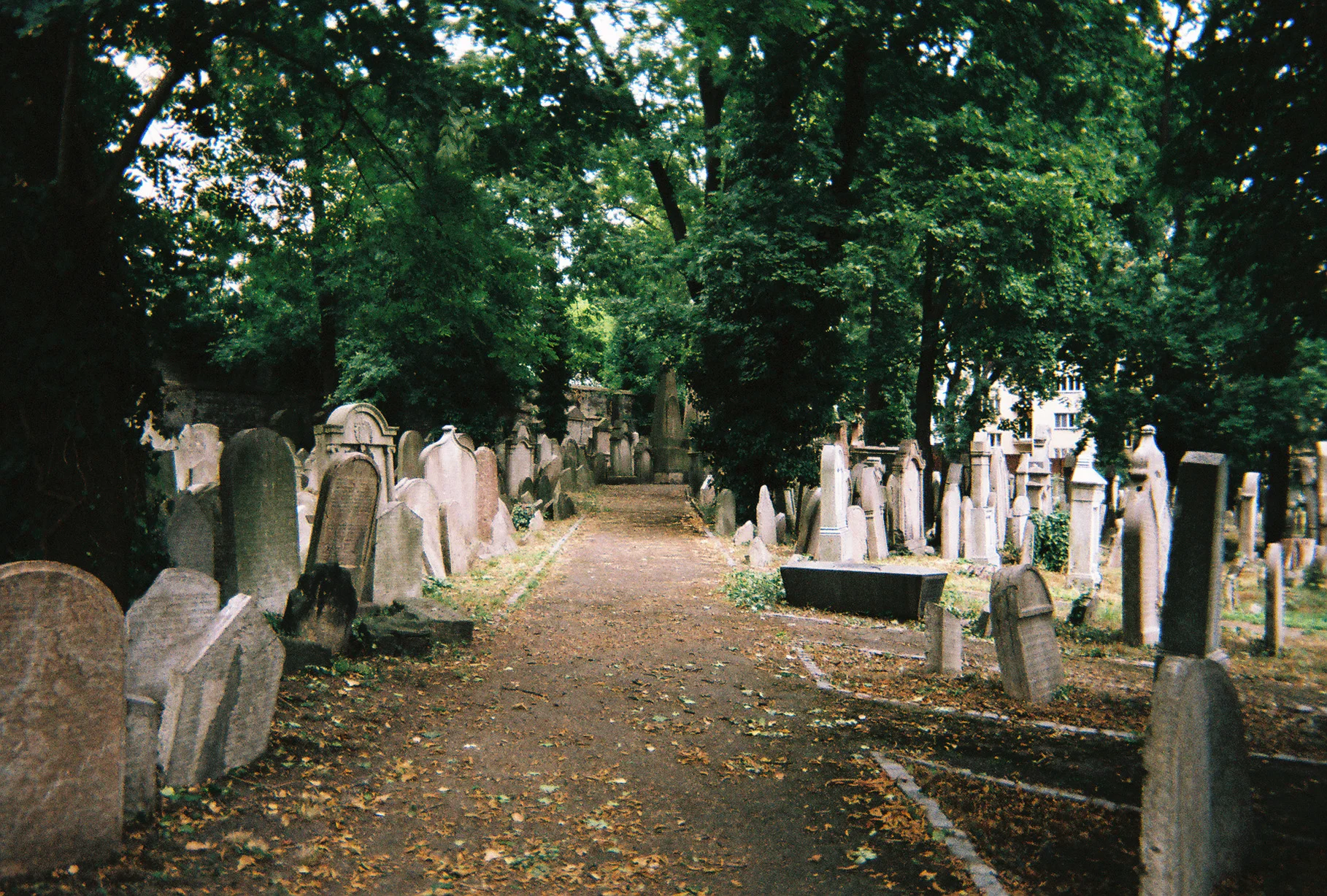 FH000012.jpg