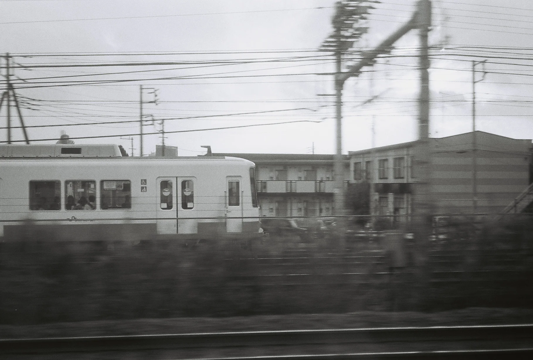 FH020002.jpg