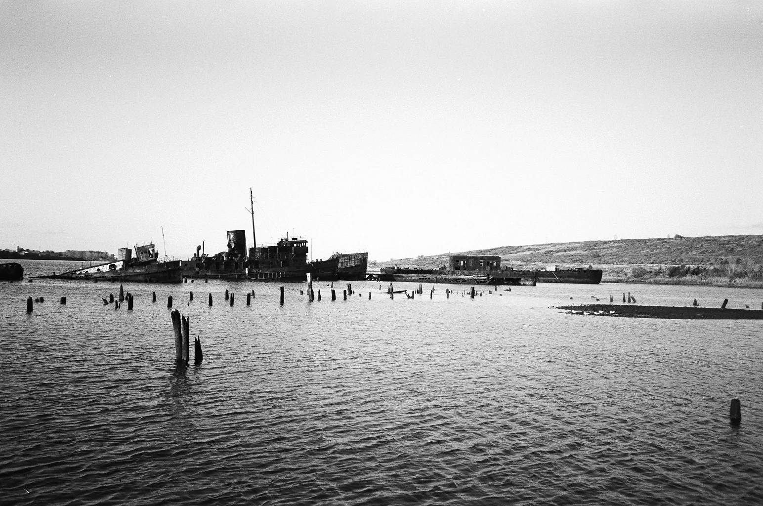 19980001.JPG