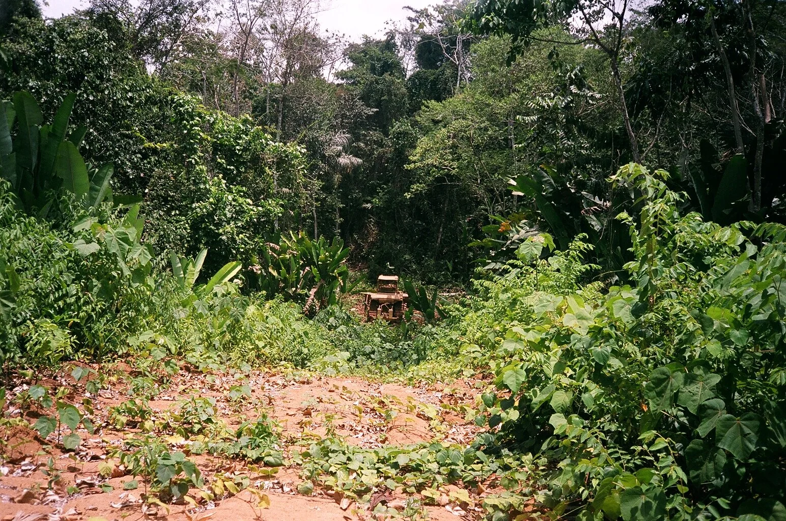  Eventually we found where the dream of the road died 
