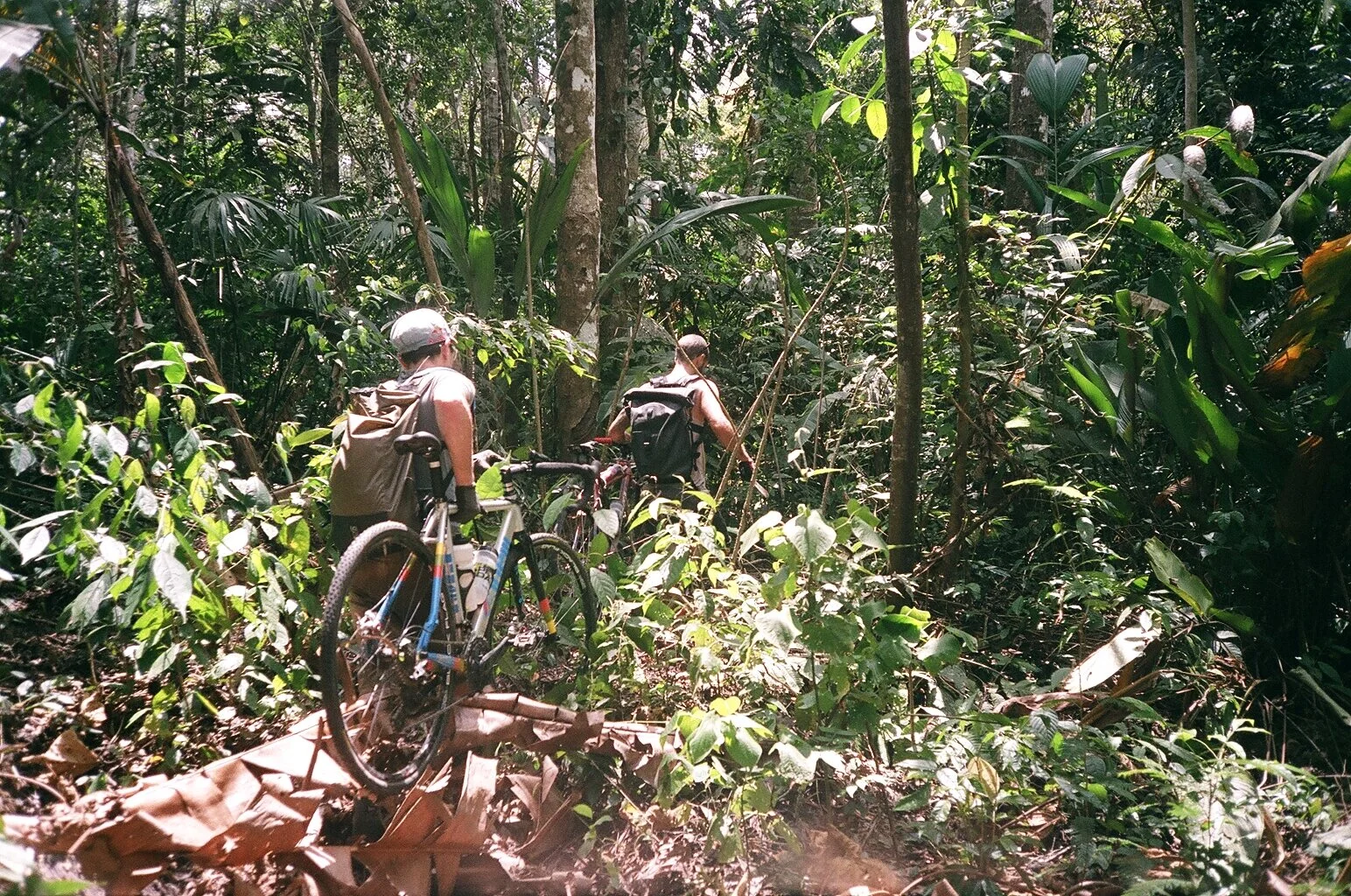  When the road ends you can stop…or you can push on into the jungle. 