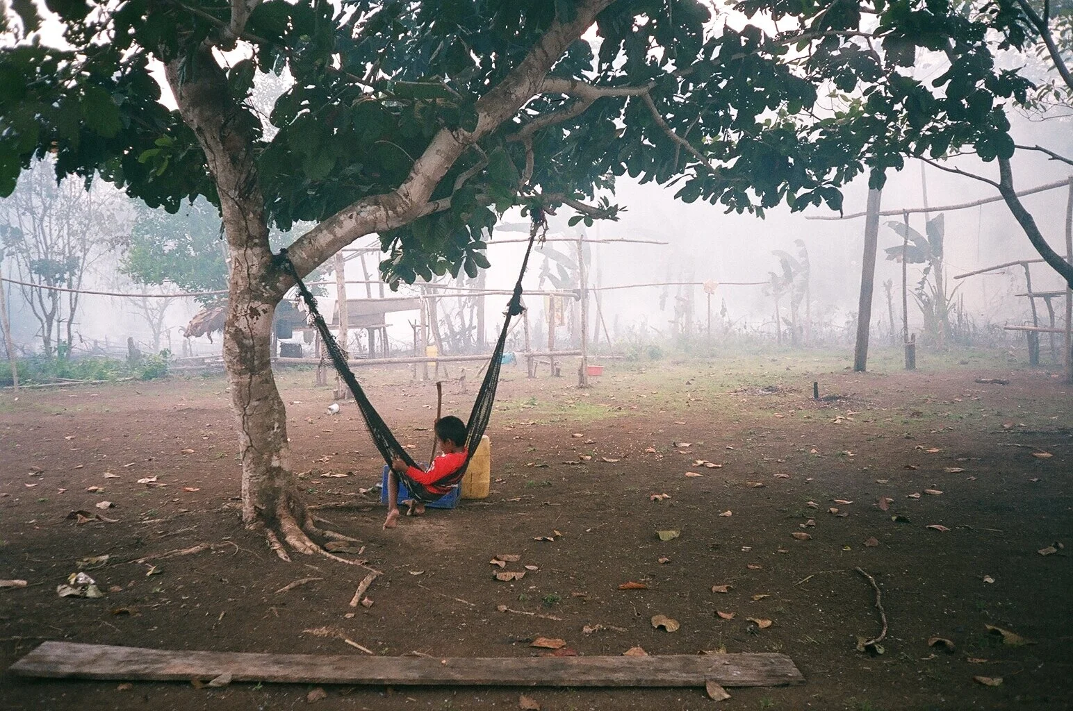  Emerging from the jungle we came upon a burning field and a sleeping child. 