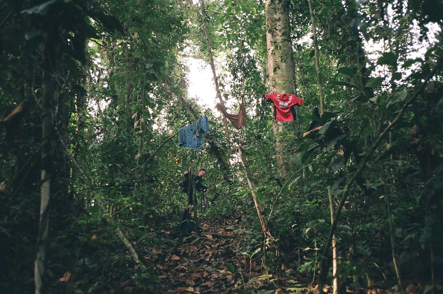  Trail markers grew unsettling the deeper we trekked into the jungle. 