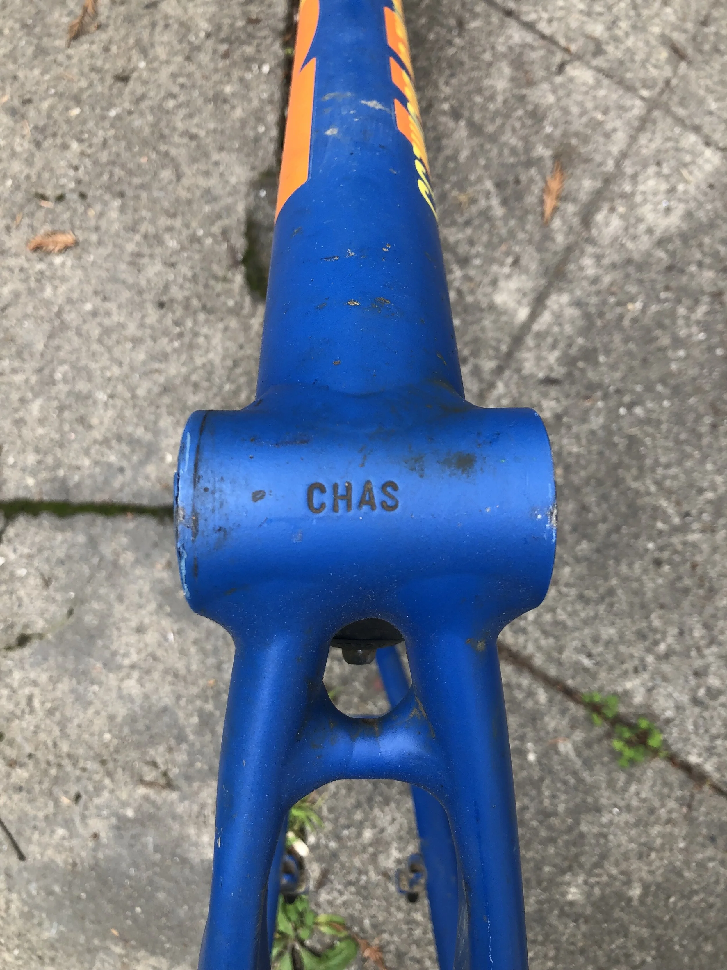 See.. definitely my frame.