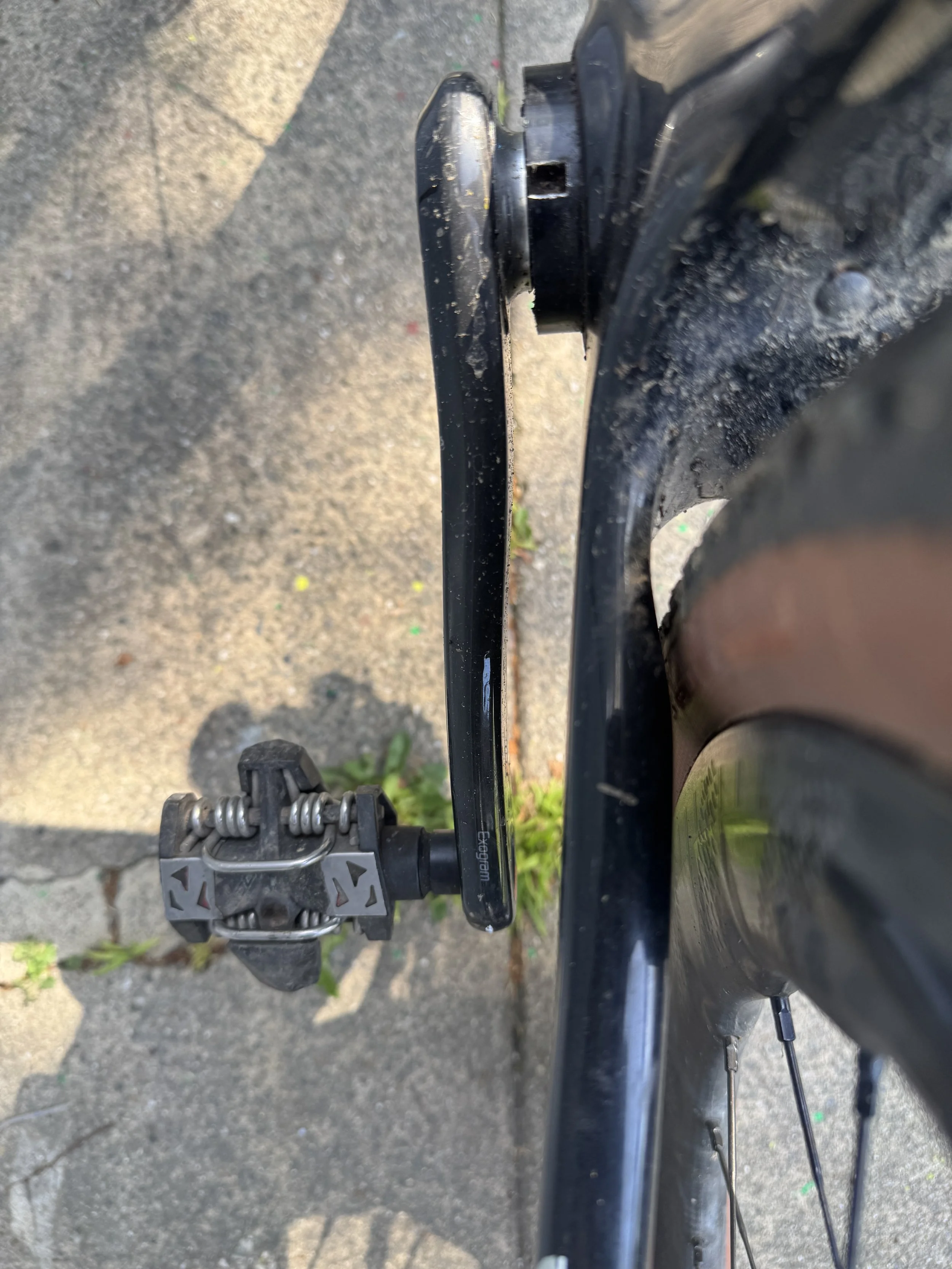  Here you can clearly see the notch in the eccentric BB to adjust the tension.  Squid makes a specific tool, but you can also use a normal lock ring tool in a pinch.     