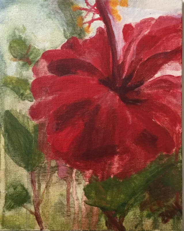 Red Hibiscus