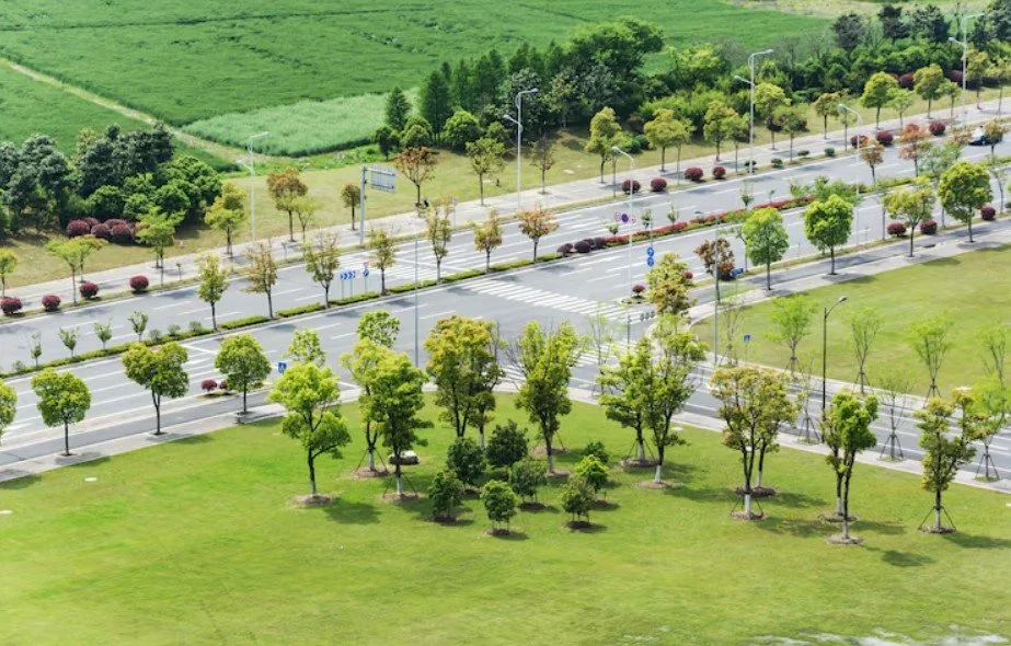 Professional Commercial Landscaping Services in Marion County
