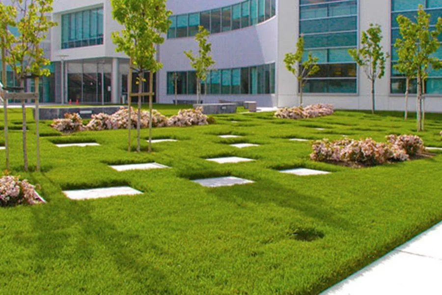 Looking for Professional Lawn Mowing in The Villages That Keeps Your Yard Perfect?
