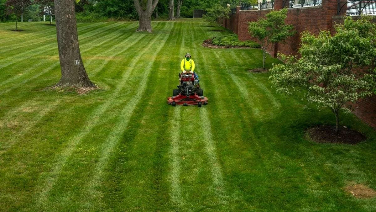 How Do Corporate Lawn Care Solutions in The Villages Enhance Business Curb Appeal? 