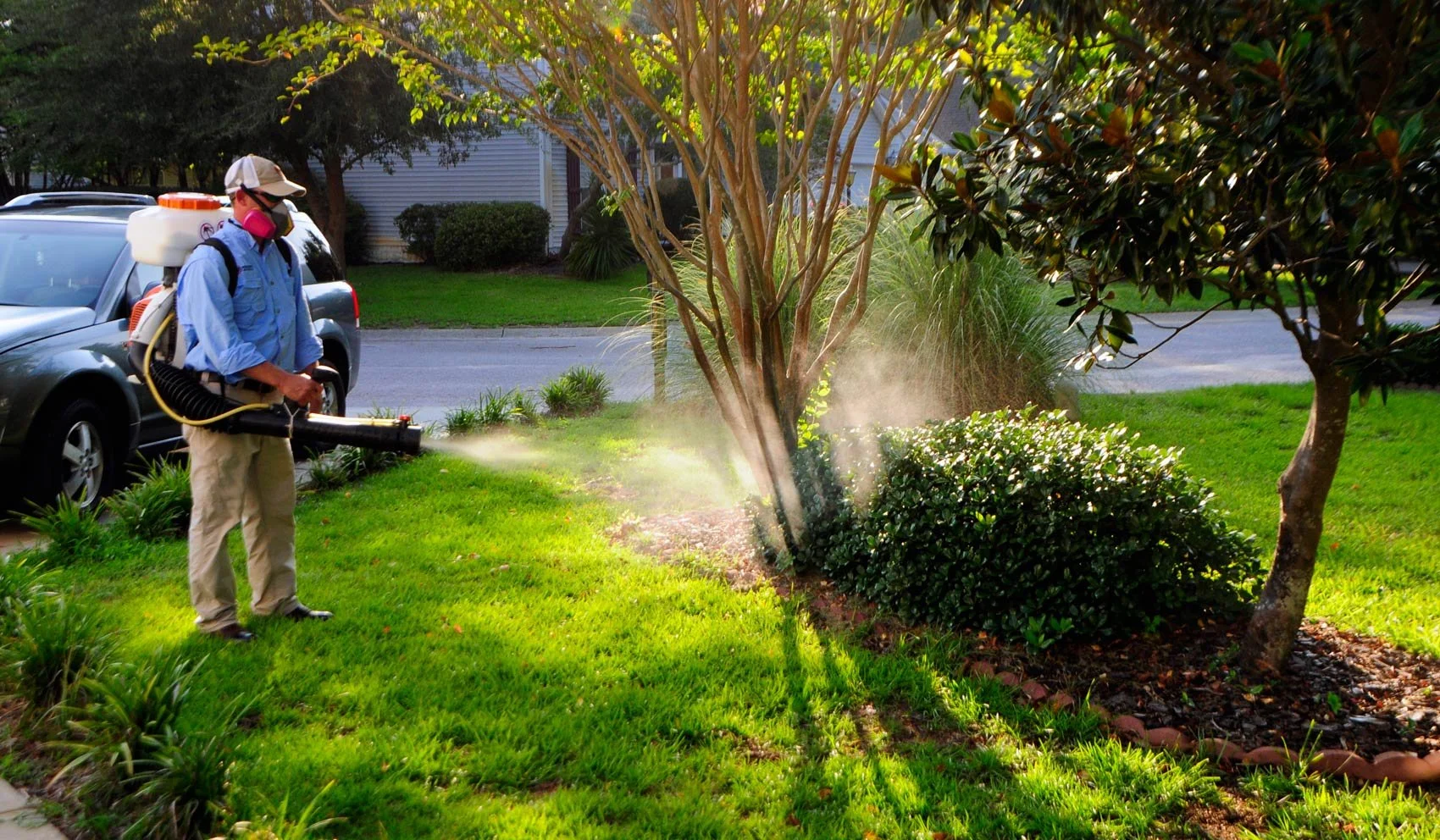 Are Lawn Pests Ruining Your Yard? Discover Effective Pest Control Solutions in Sumter County