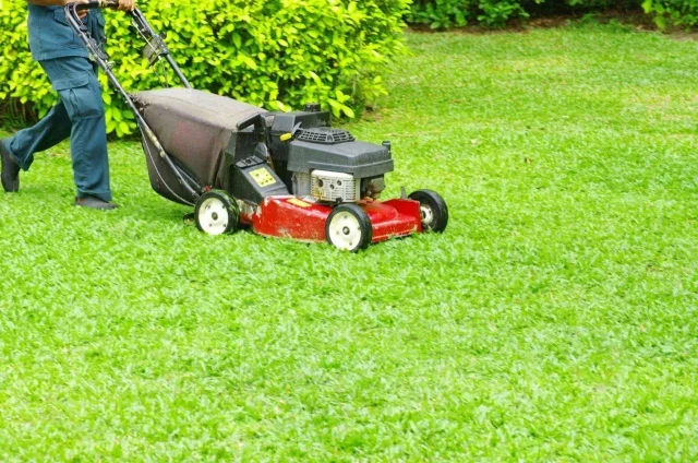Looking for Lawn Care Services in The Villages? What to Know