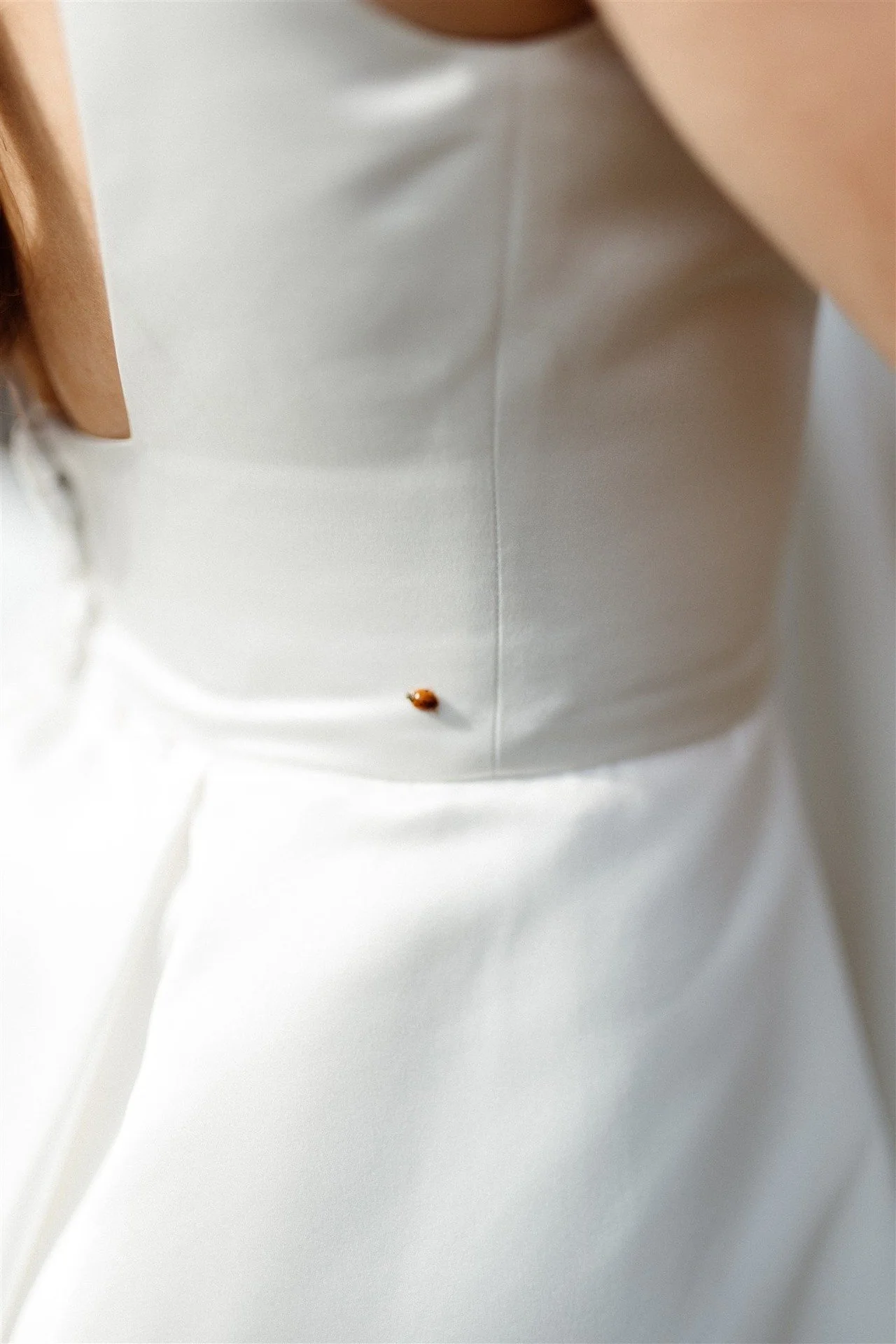 Close-Up-Of-Brides-Dress-With-Ladybug-On-It-For-Good-Luck