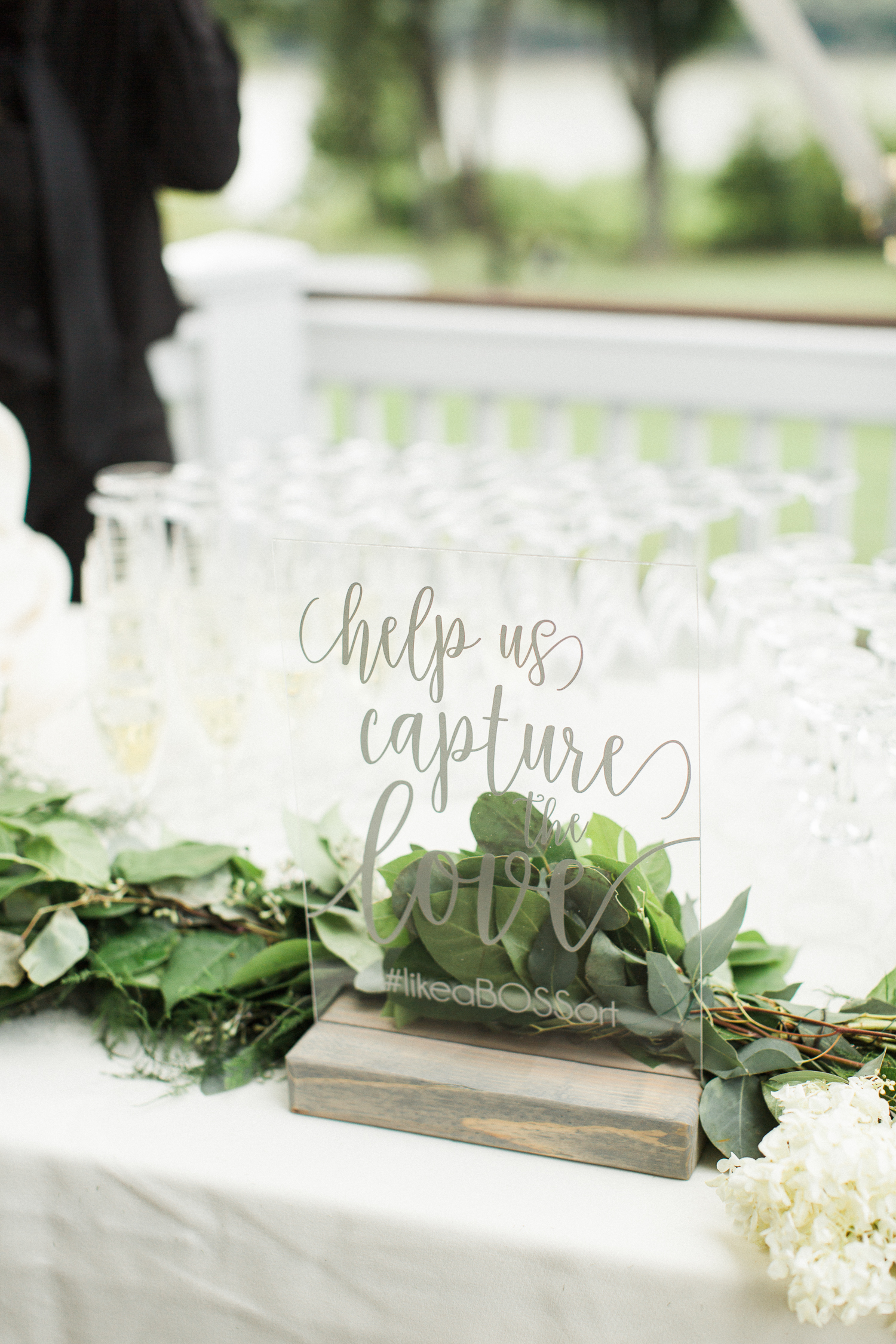 bashfulcaptures_452_9O0A0831.jpg