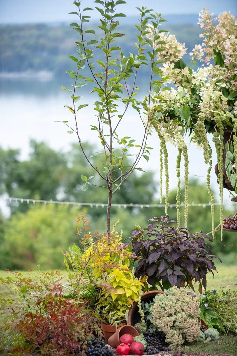 hudson-valley-wedding-planner-garden-feast-wedding (15).jpg