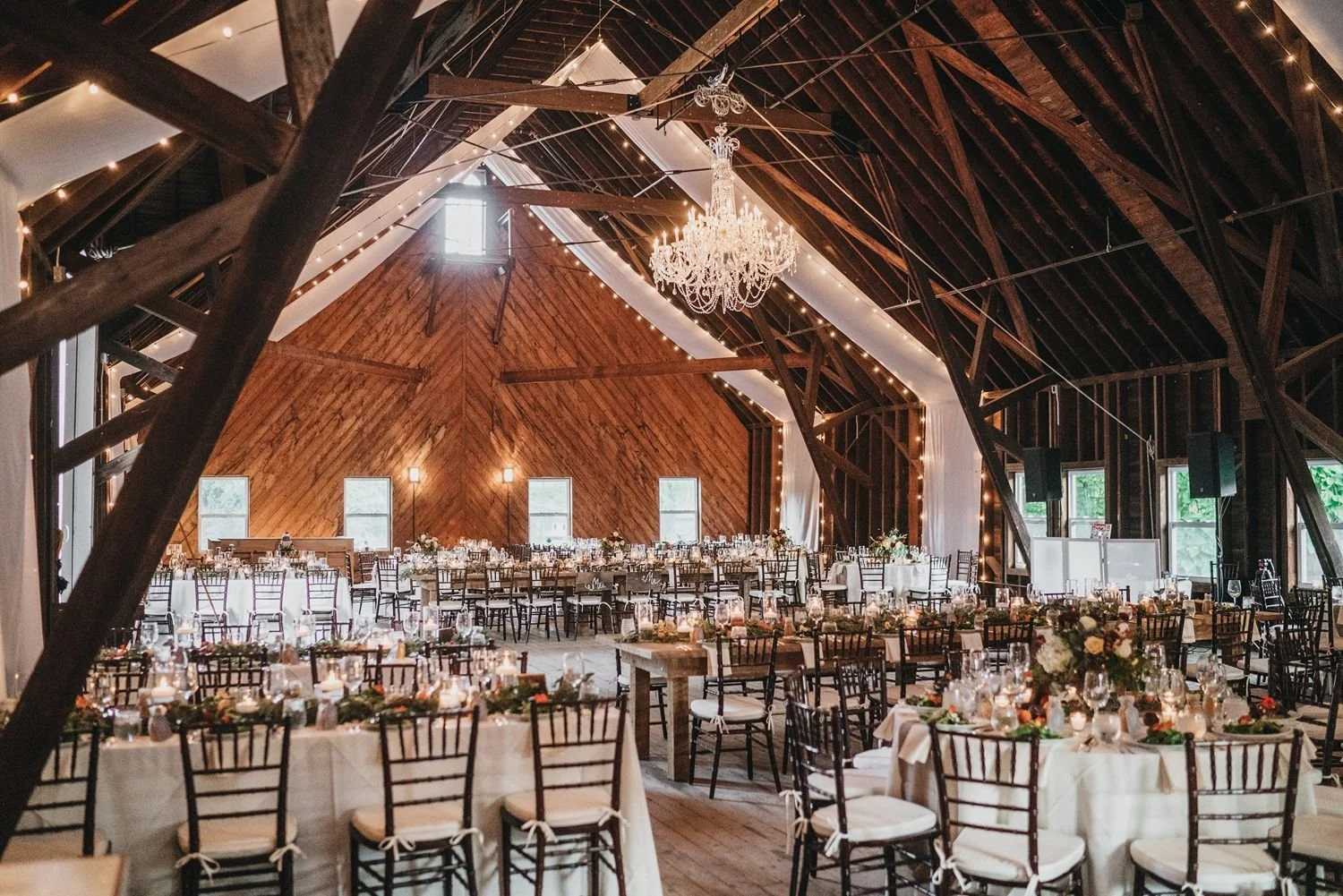 barn-wedding-with-white-fabric-and-lights-coming-from-the-ceiling-white-linens-and-mahogony-chiavari-ball-room-chairs.jpg