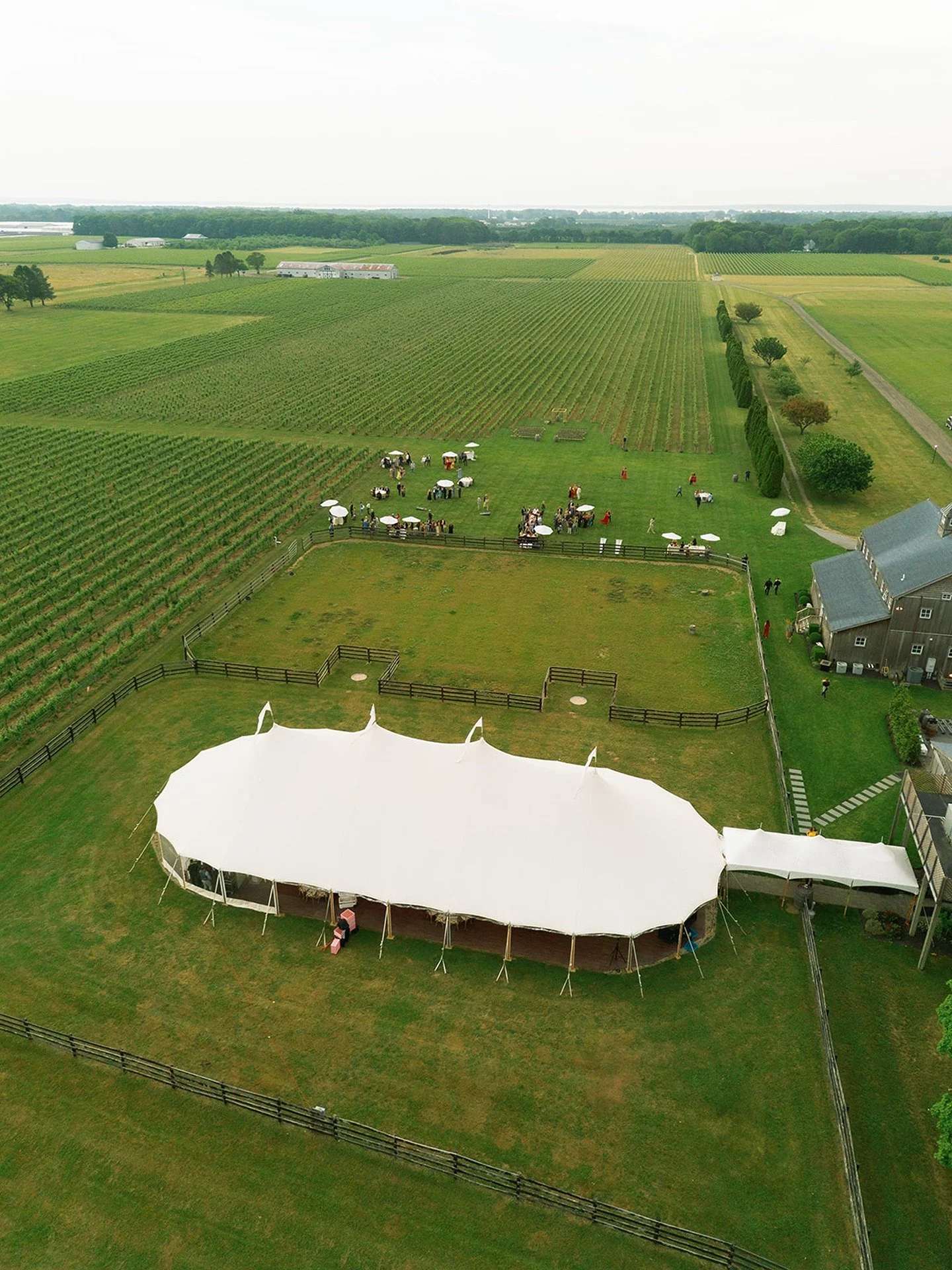 Greenport-NY-hudson-valley-wedding-planner-winery-wedding-outdoor-tented-event-in-vineyard (138).jpg