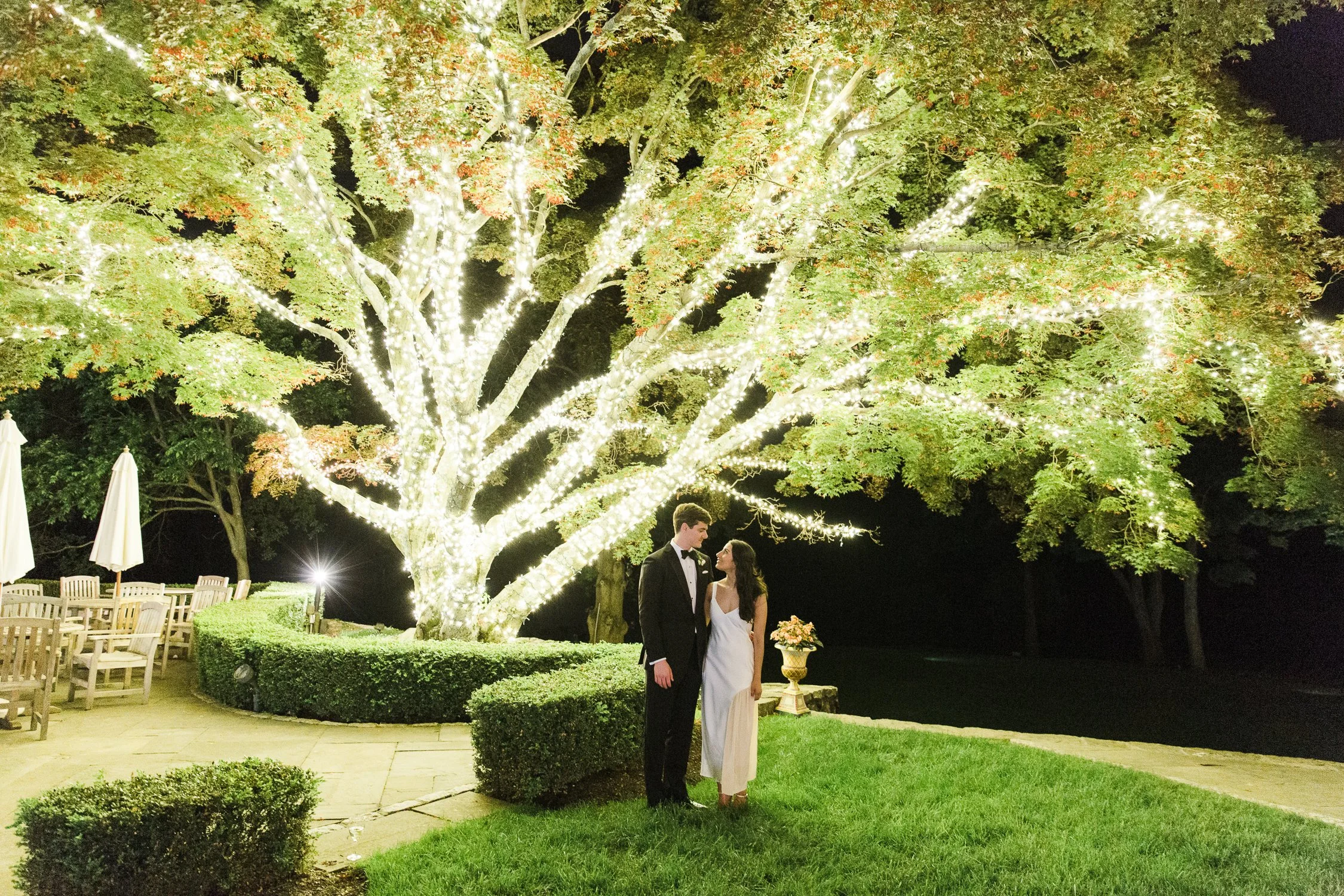 bride-and-groom-under-tree-wrapped-in-twinkle-lights-in-the-hudson-valley.jpg