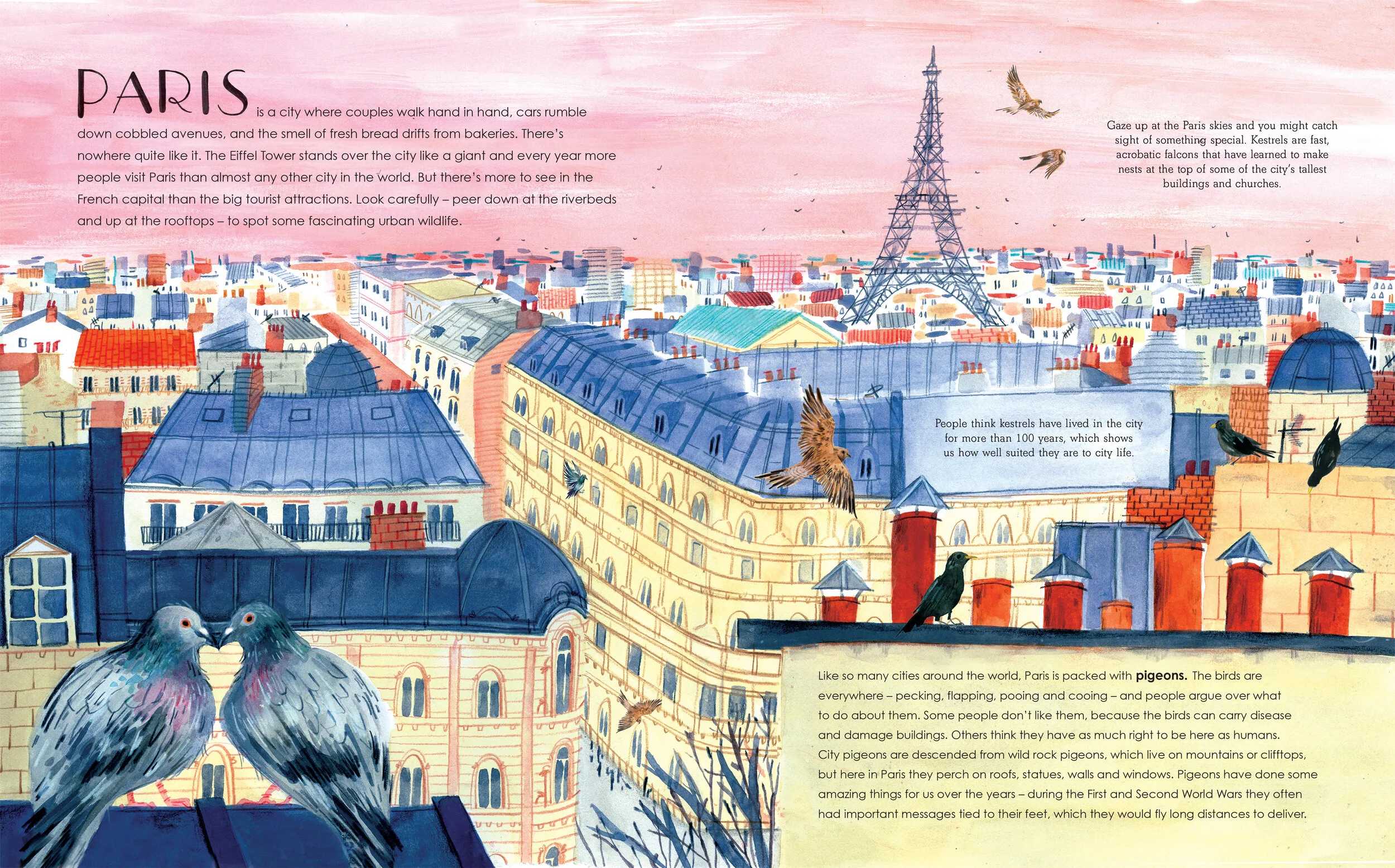 wild cities for web.jpg