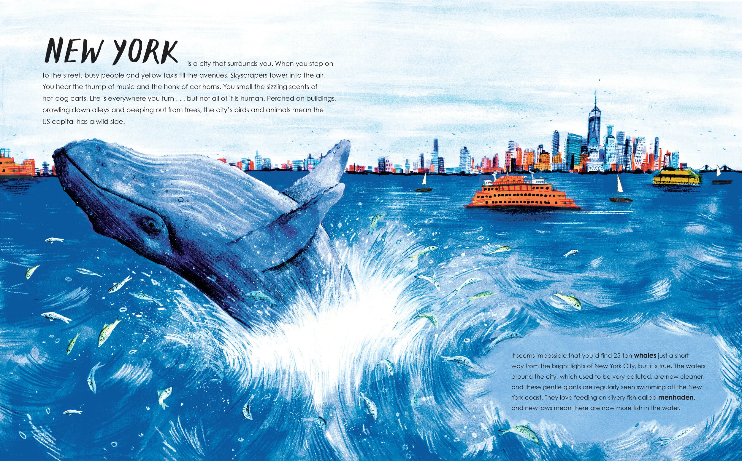 New York for web.jpg