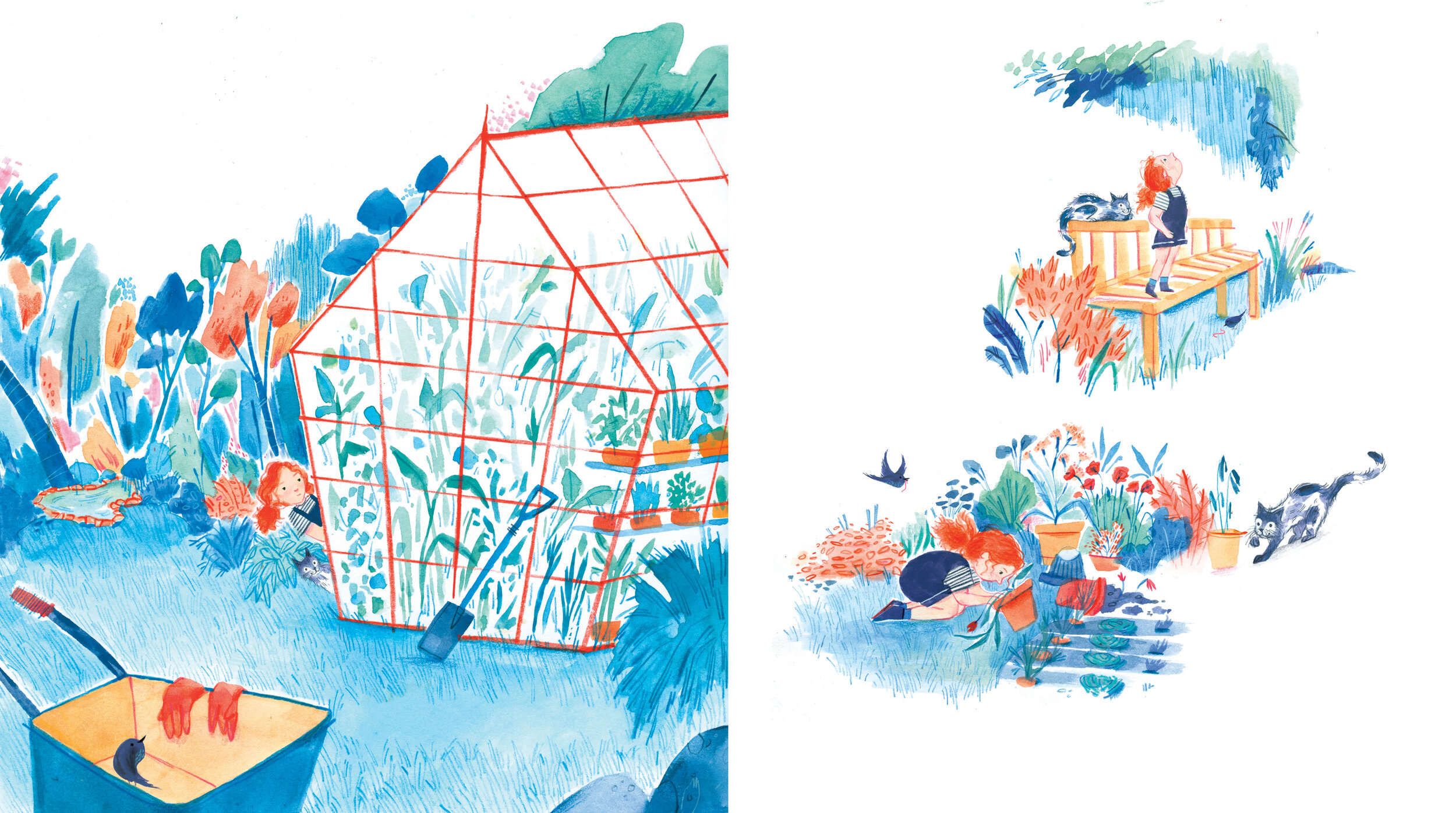 NT rgb for web 3.jpg