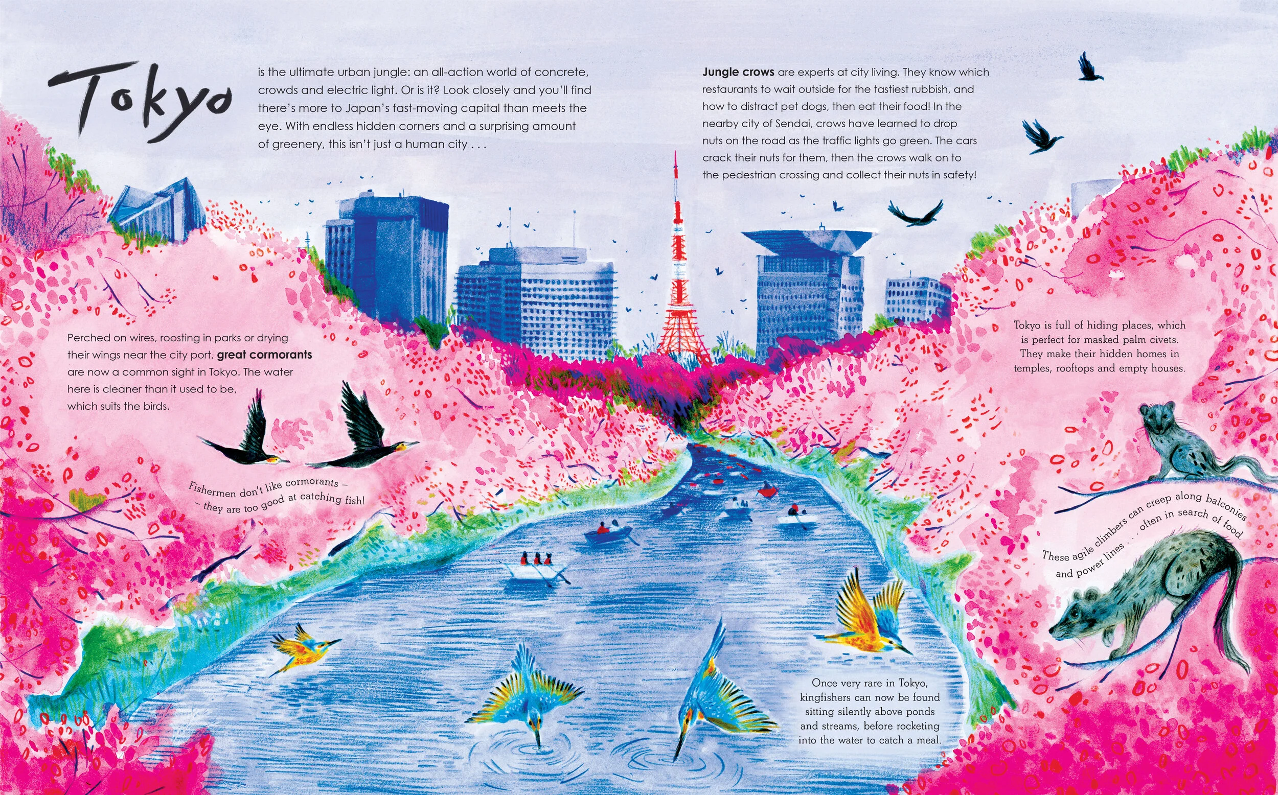 tokyo rbg for web.jpg