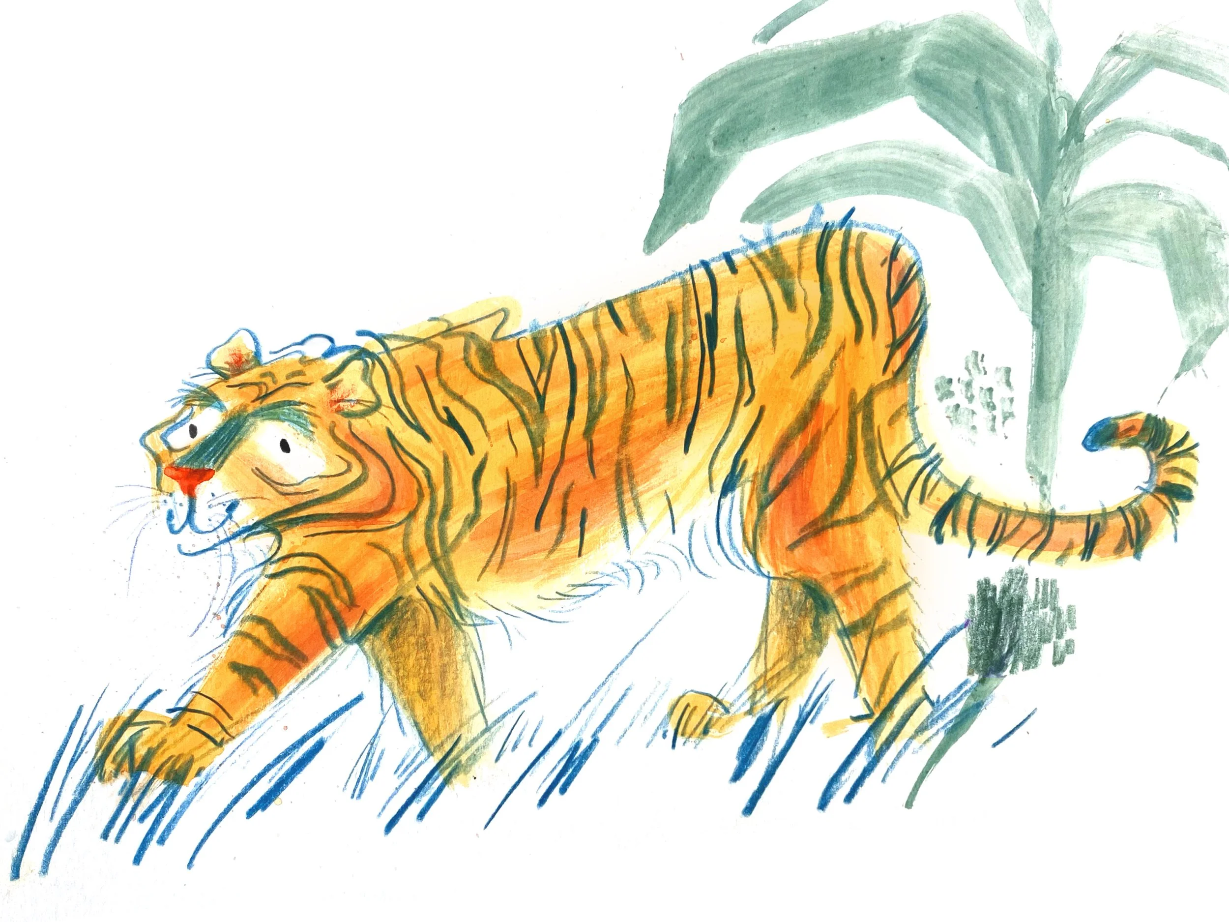 Tiger test.jpg