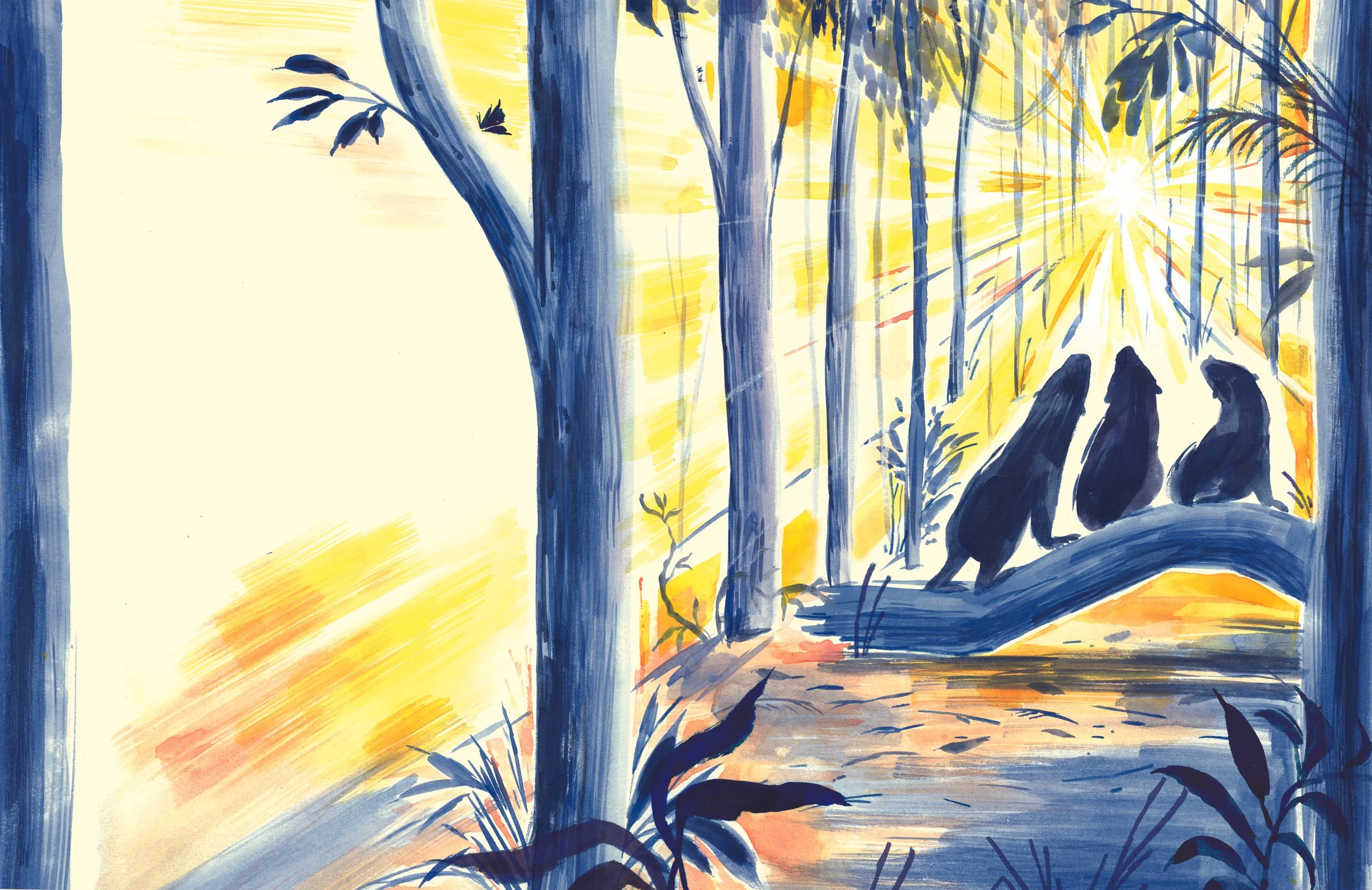 Saving Sun bears copy.jpg